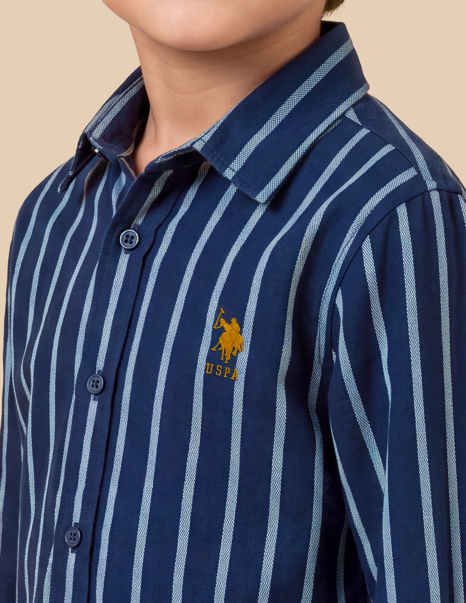 Vertical Striped Twill Shirt Navy - U.S. Polo Assn. India | Large