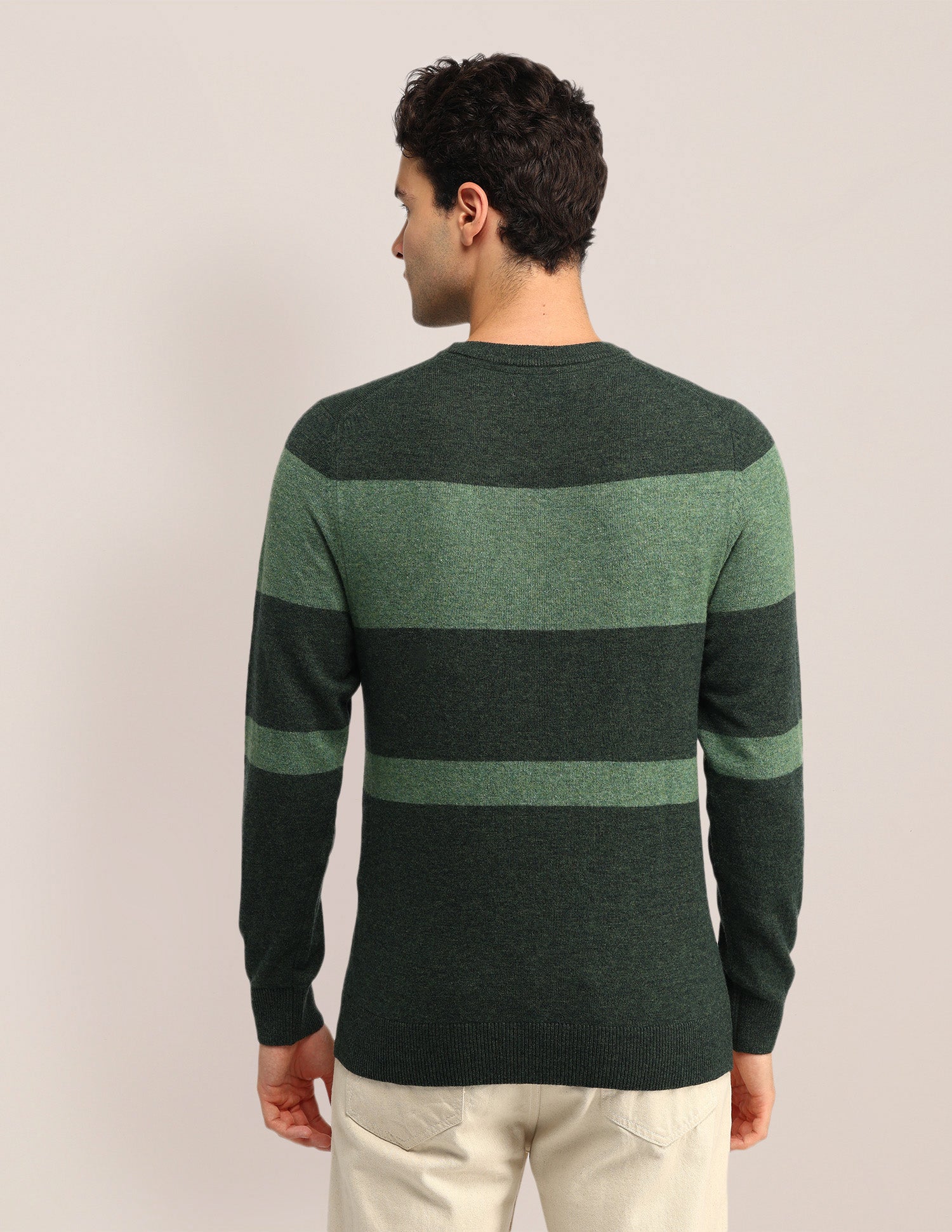 Colour Blocked Regular Fit Sweater Dark Green - U.S. POLO ASSN. | Large