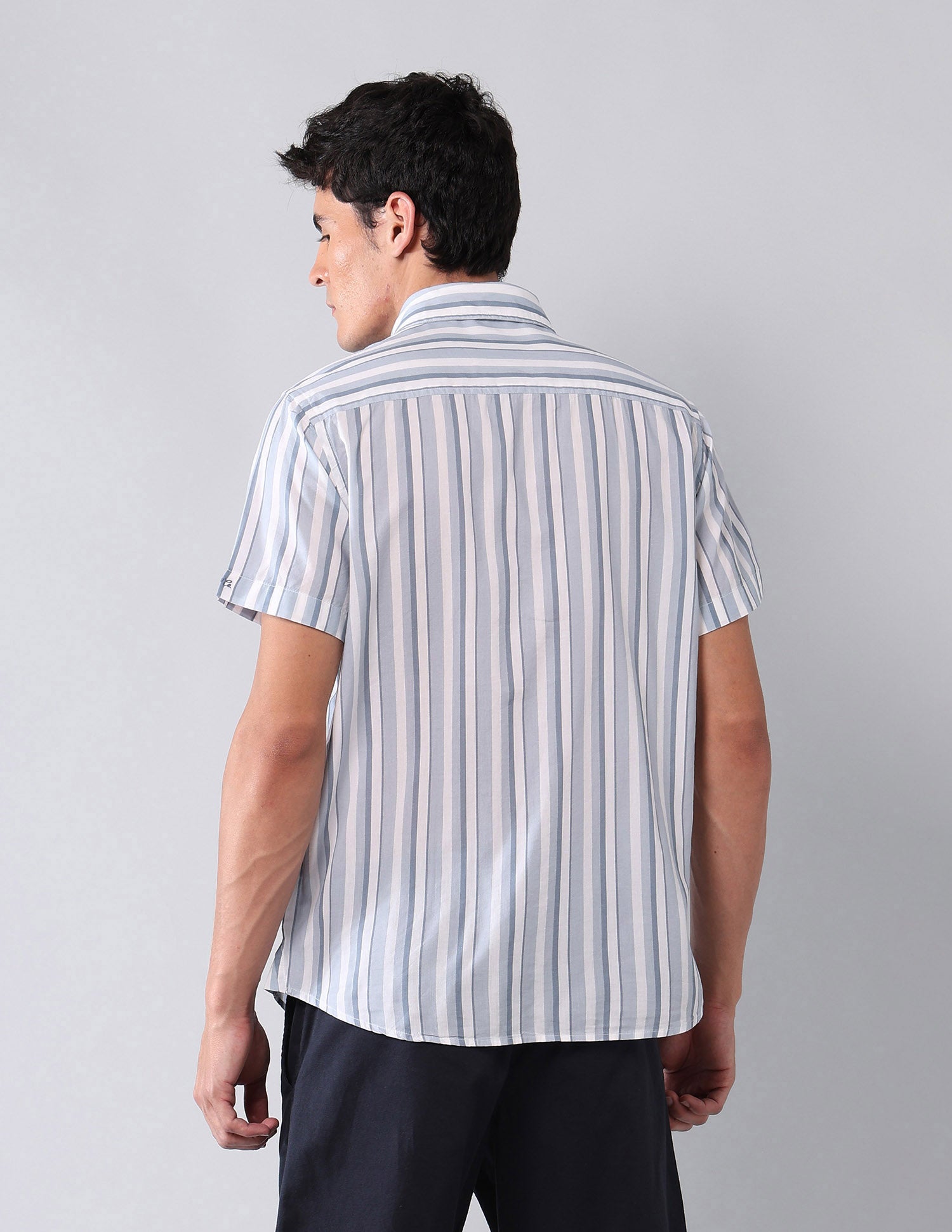Vertical Striped Regular Fit Shirt Blue - U.S. Polo Assn. India | Large