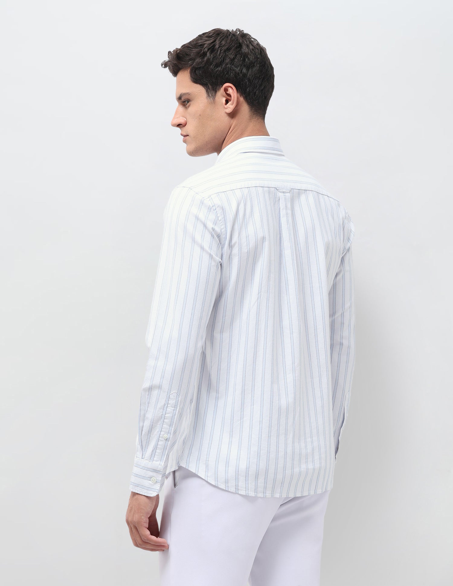 Vertical Striped Oxford Shirt Blue - U.S. Polo Assn. India | Large