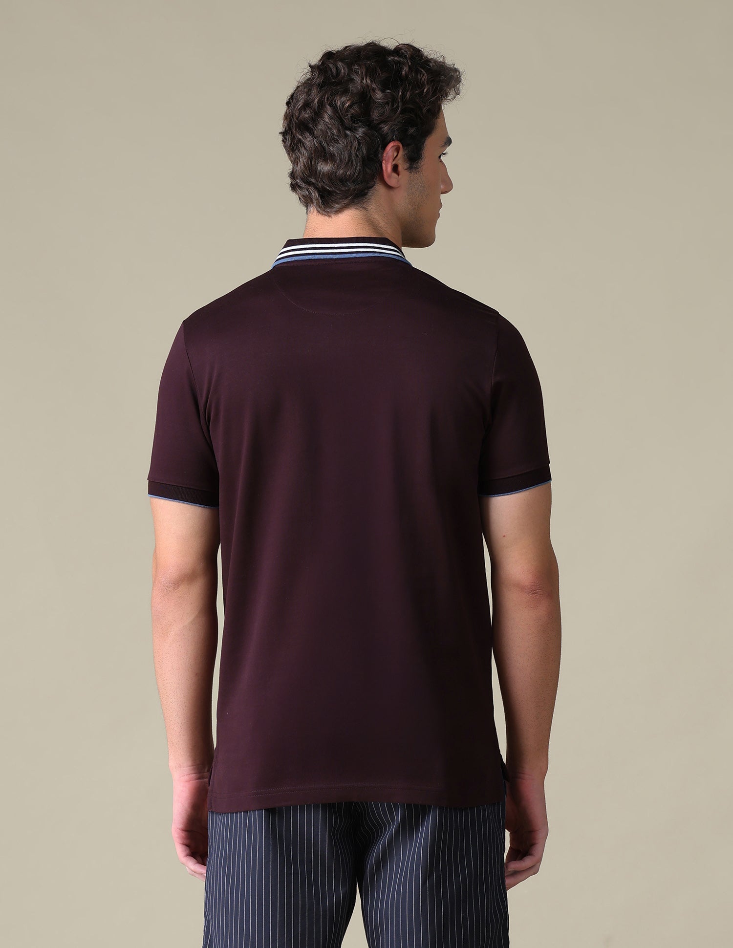 Regular Fit Solid Polo Shirt Purple - U.S. Polo Assn. India | Large