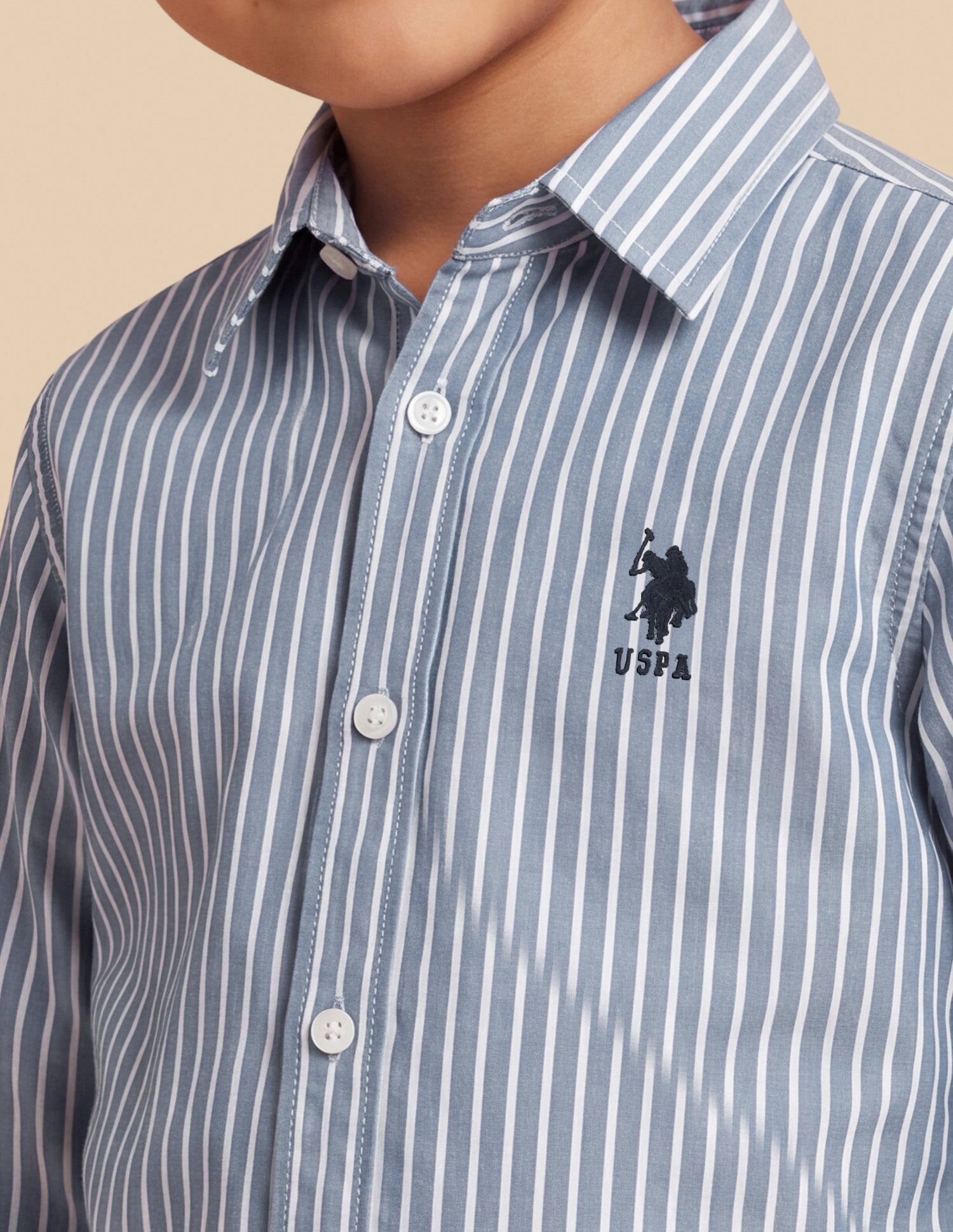 Vertical Striped Regular Fit Shirt Light Blue - U.S. Polo Assn. India | Large