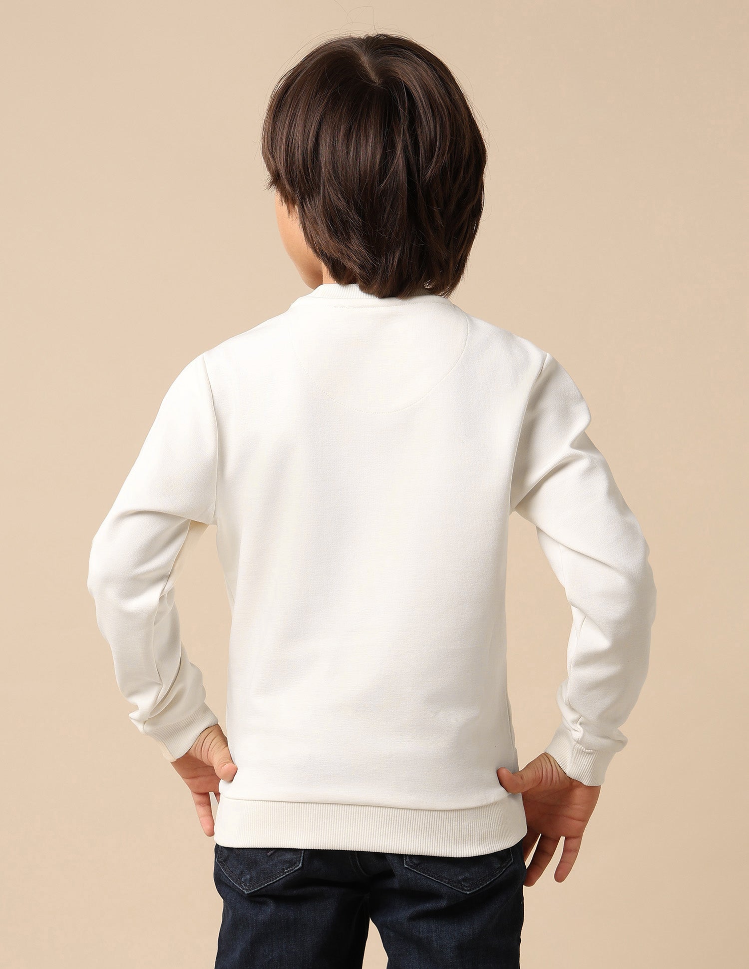 Boys Brand Embroidered Regular Fit Sweatshirt White - U.S. POLO ASSN. | Large