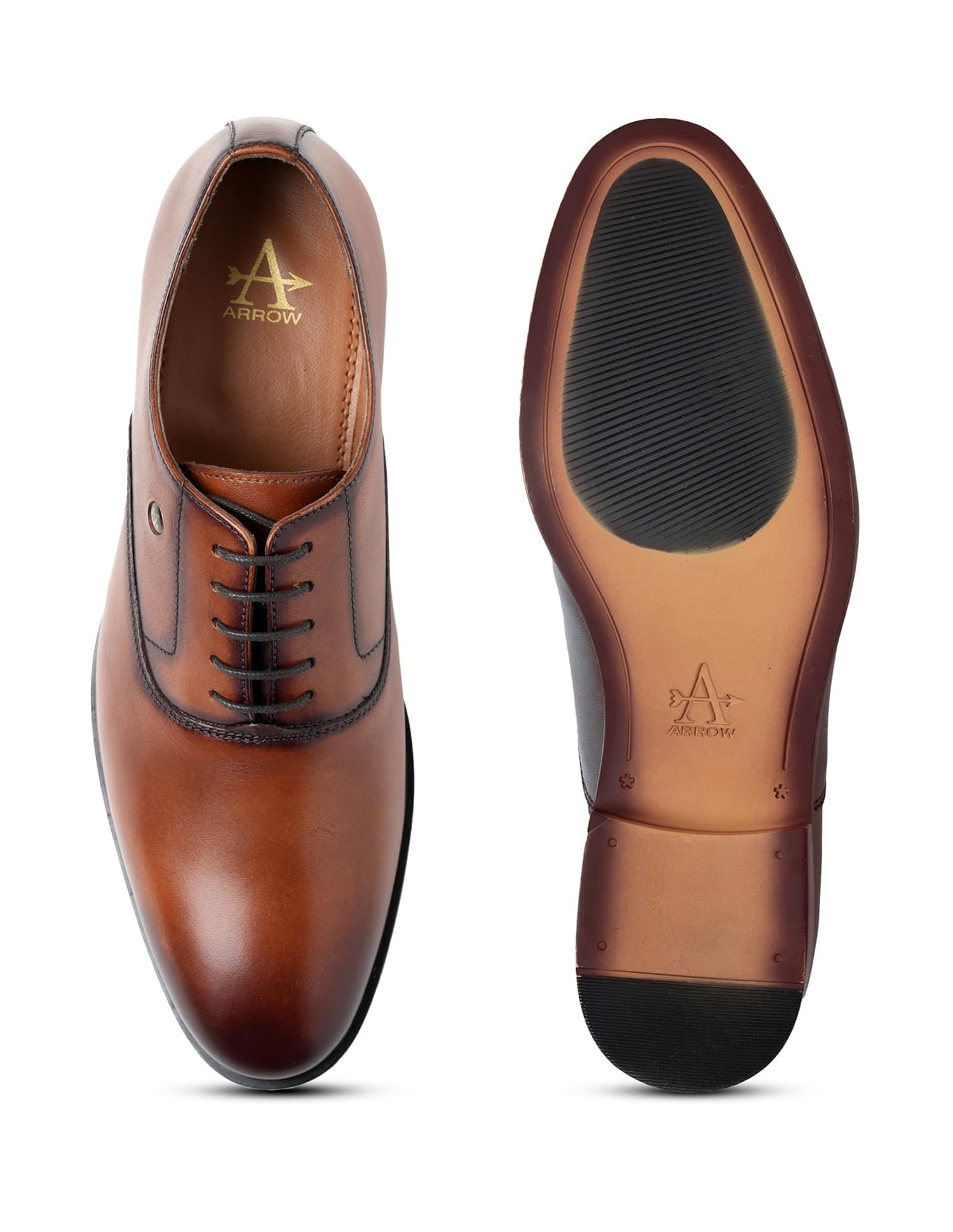 Pelican 3.0 Solid Leather Shoes Tan - U.S. Polo Assn. India | Large