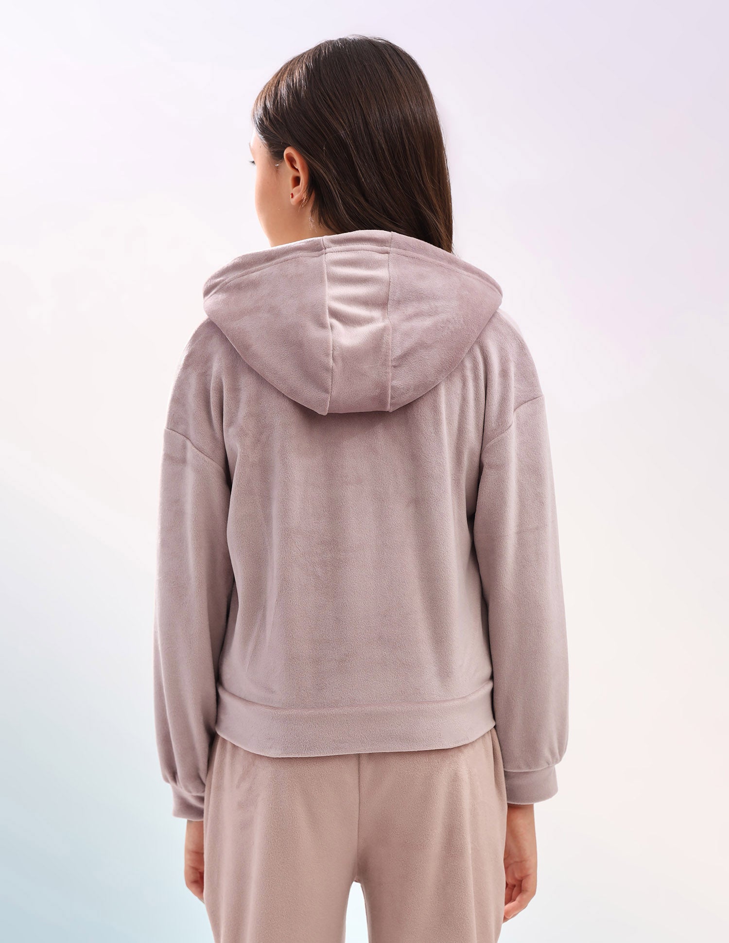 Solid Regular Fit Sweatshirt Pink - U.S. Polo Assn. India | Large