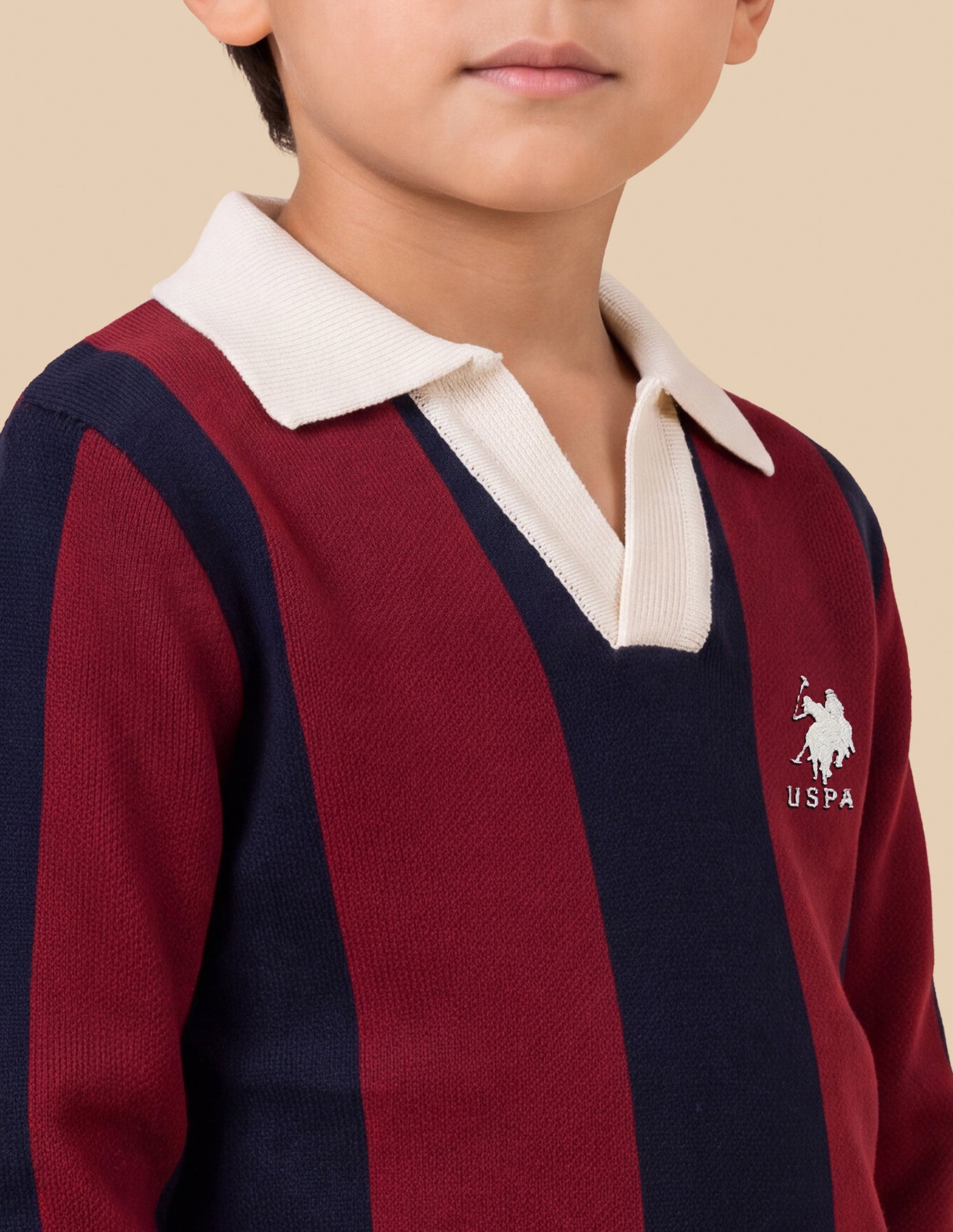 Vertical Striped Regular Fit Sweater Red - U.S. Polo Assn. India | Large