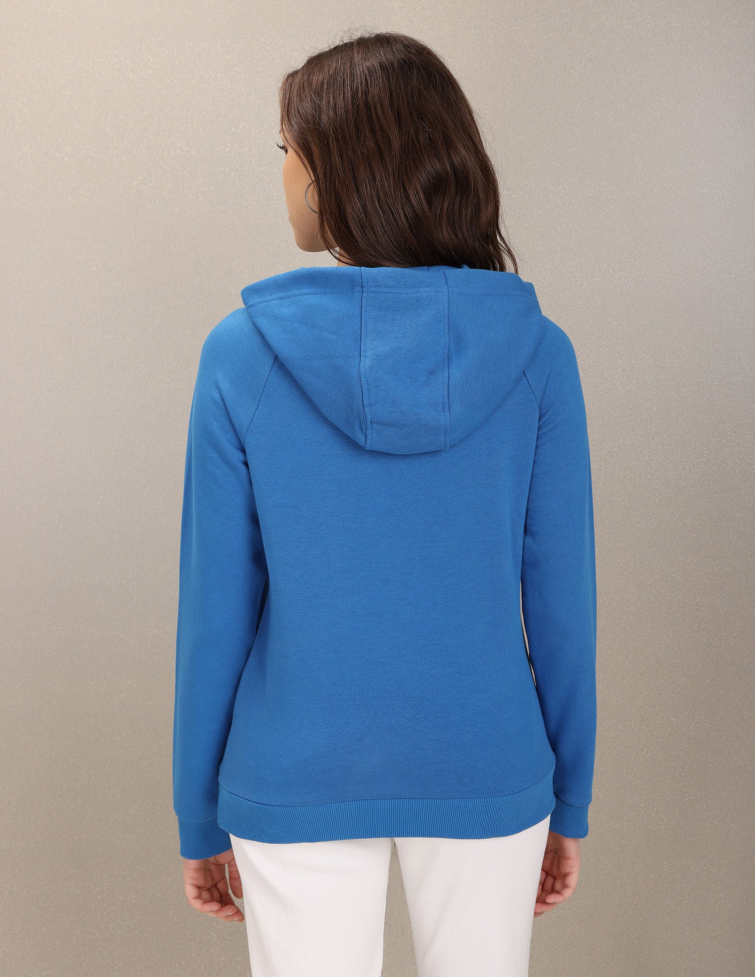 Solid Hooded Sweatshirt Blue - U.S. POLO ASSN. | Large