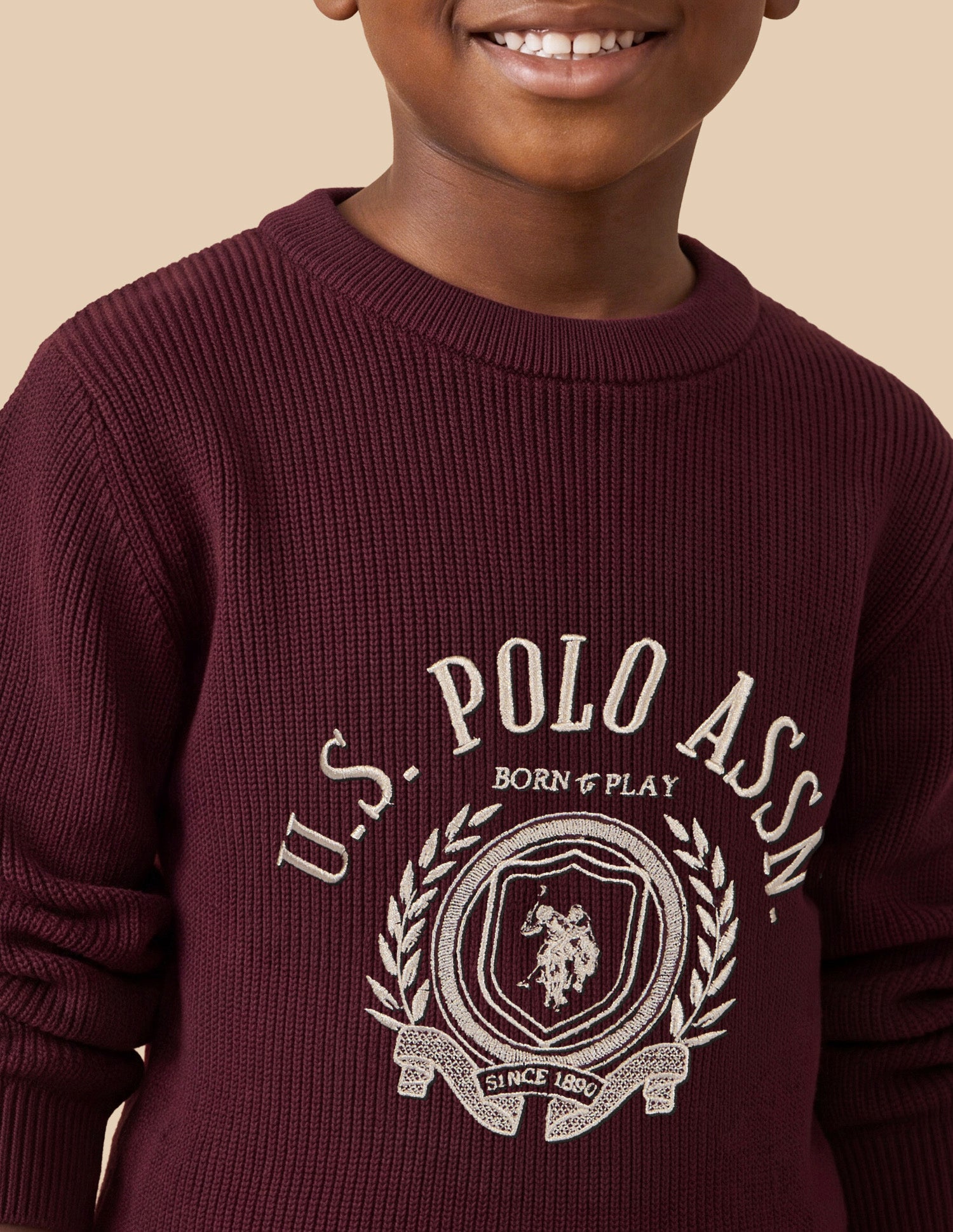 Brand Embroidered Regular Fit Sweater Wine - U.S. Polo Assn. India | Large