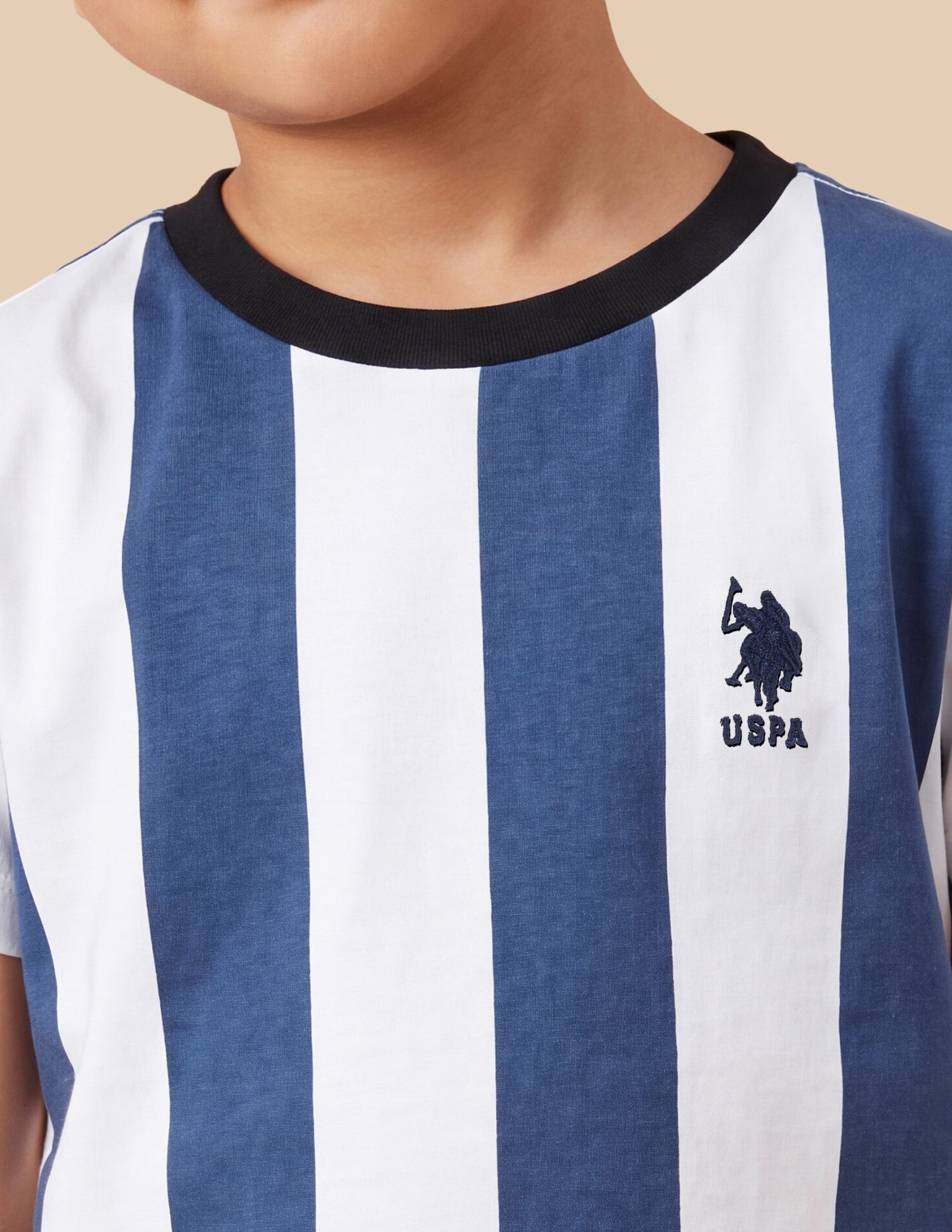 Vertical Striped Regular Fit T-Shirt Blue - U.S. Polo Assn. India | Large