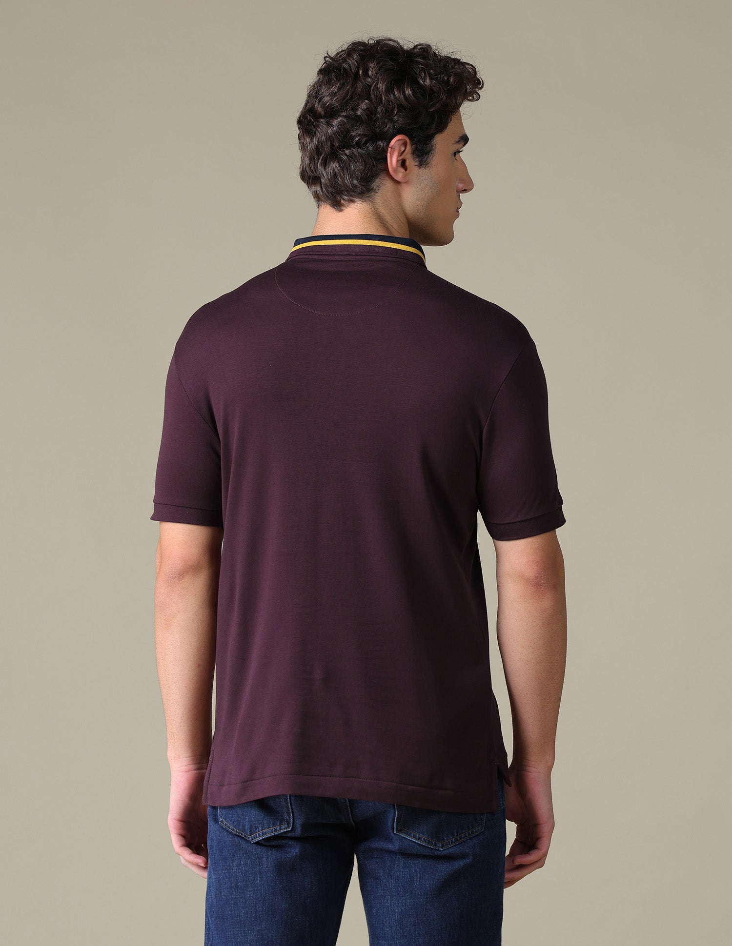 Solid Regular Fit Polo Shirt Purple - U.S. Polo Assn. India | Large
