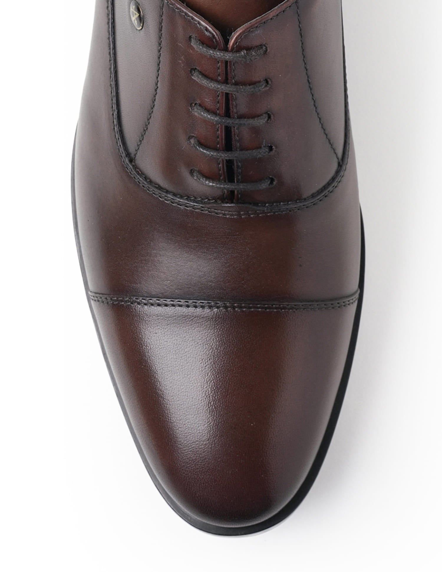 Orion 3.0 Leather Shoes Brown - U.S. Polo Assn. India | Large