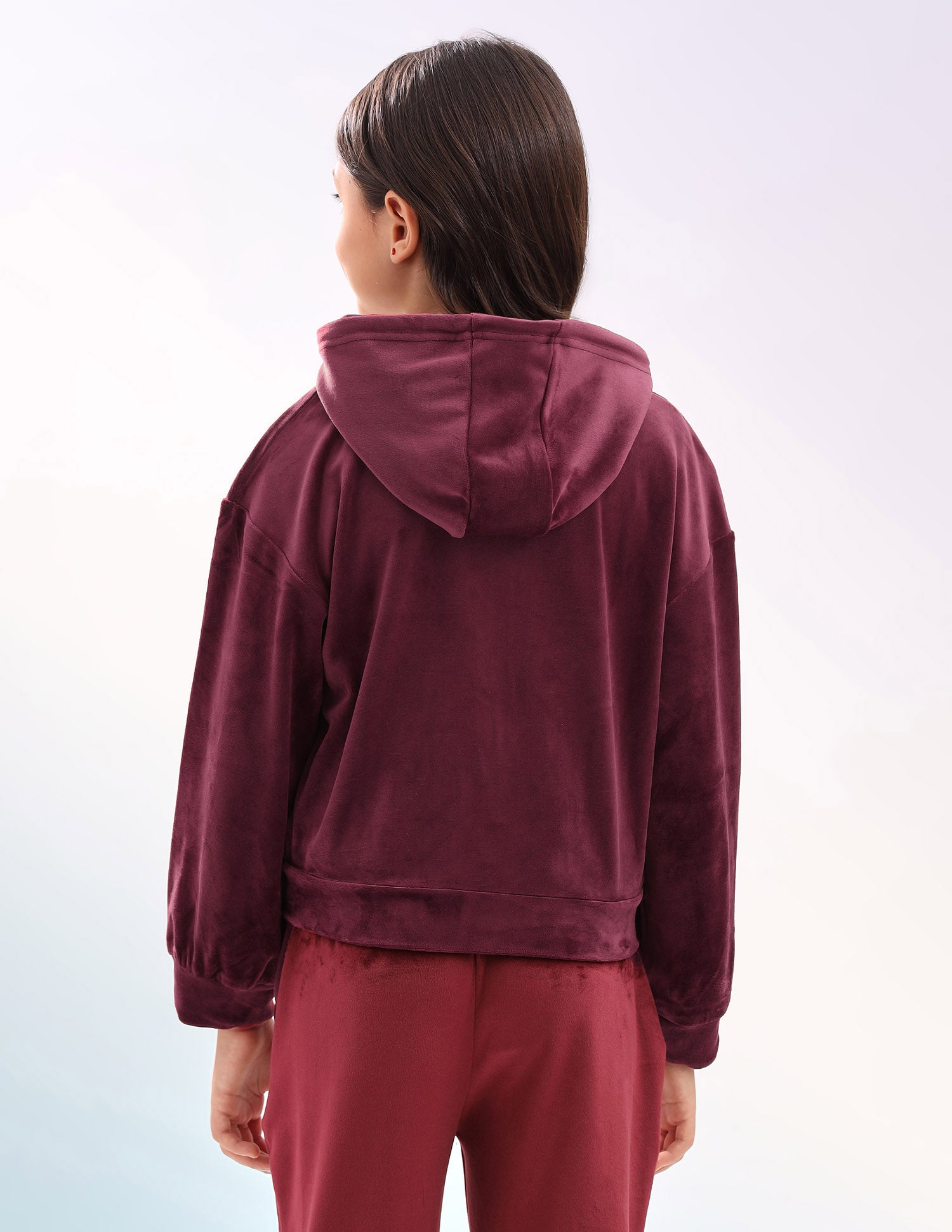 Solid Regular Fit Sweatshirt Wine - U.S. Polo Assn. India | Large