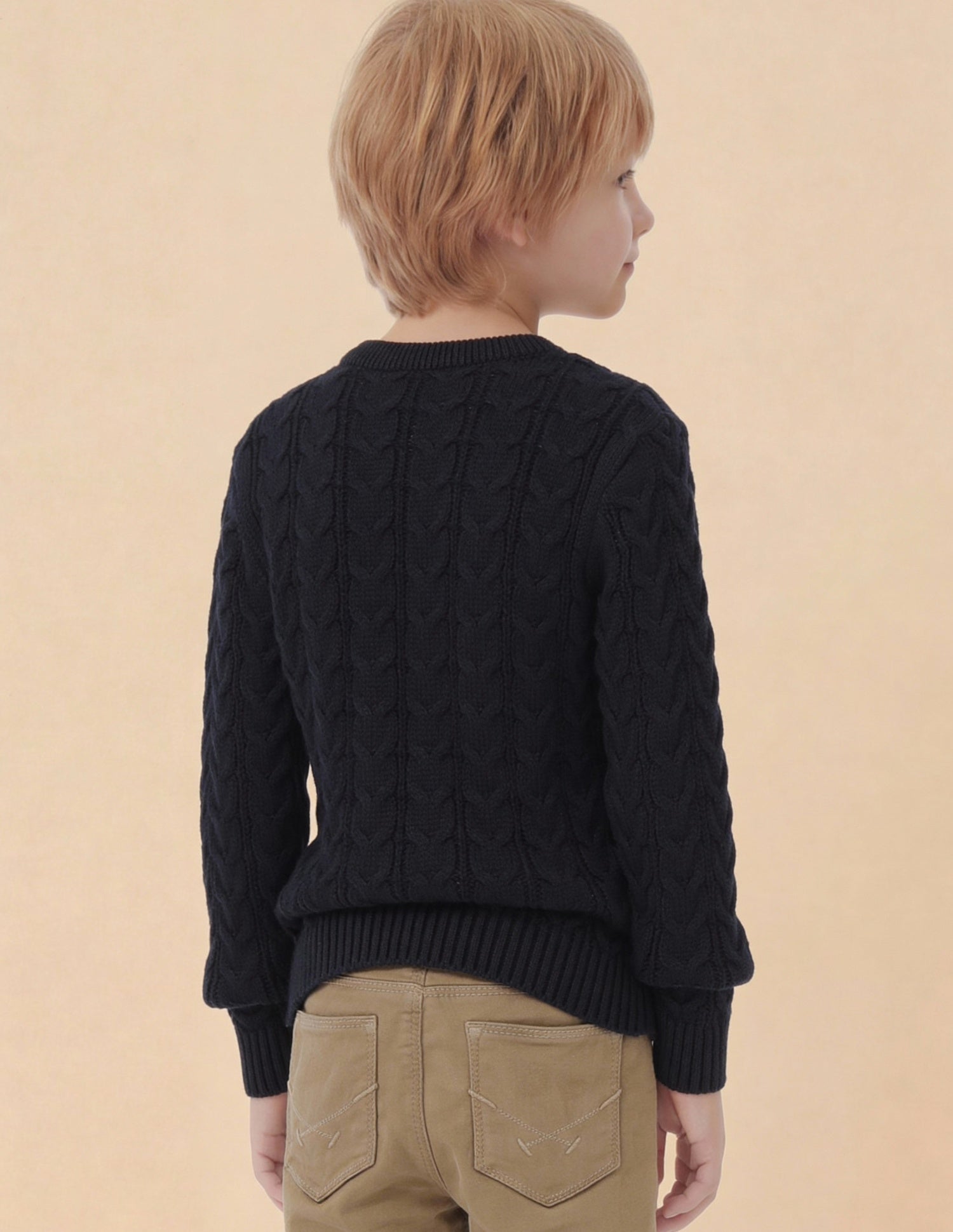 Boys Cable Knit Logo Regular Fit Sweater Navy - U.S. Polo Assn. India | Large