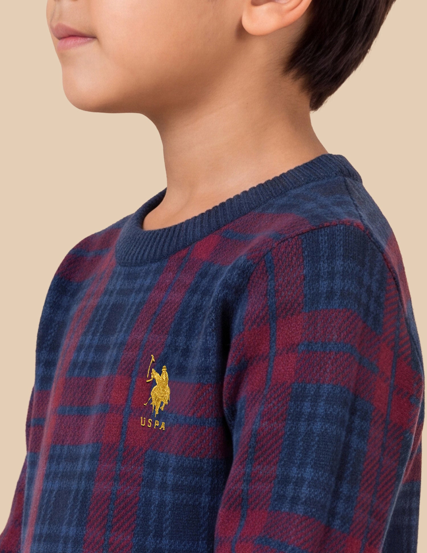 Checked Regular Fit Sweater Maroon - U.S. Polo Assn. India | Large