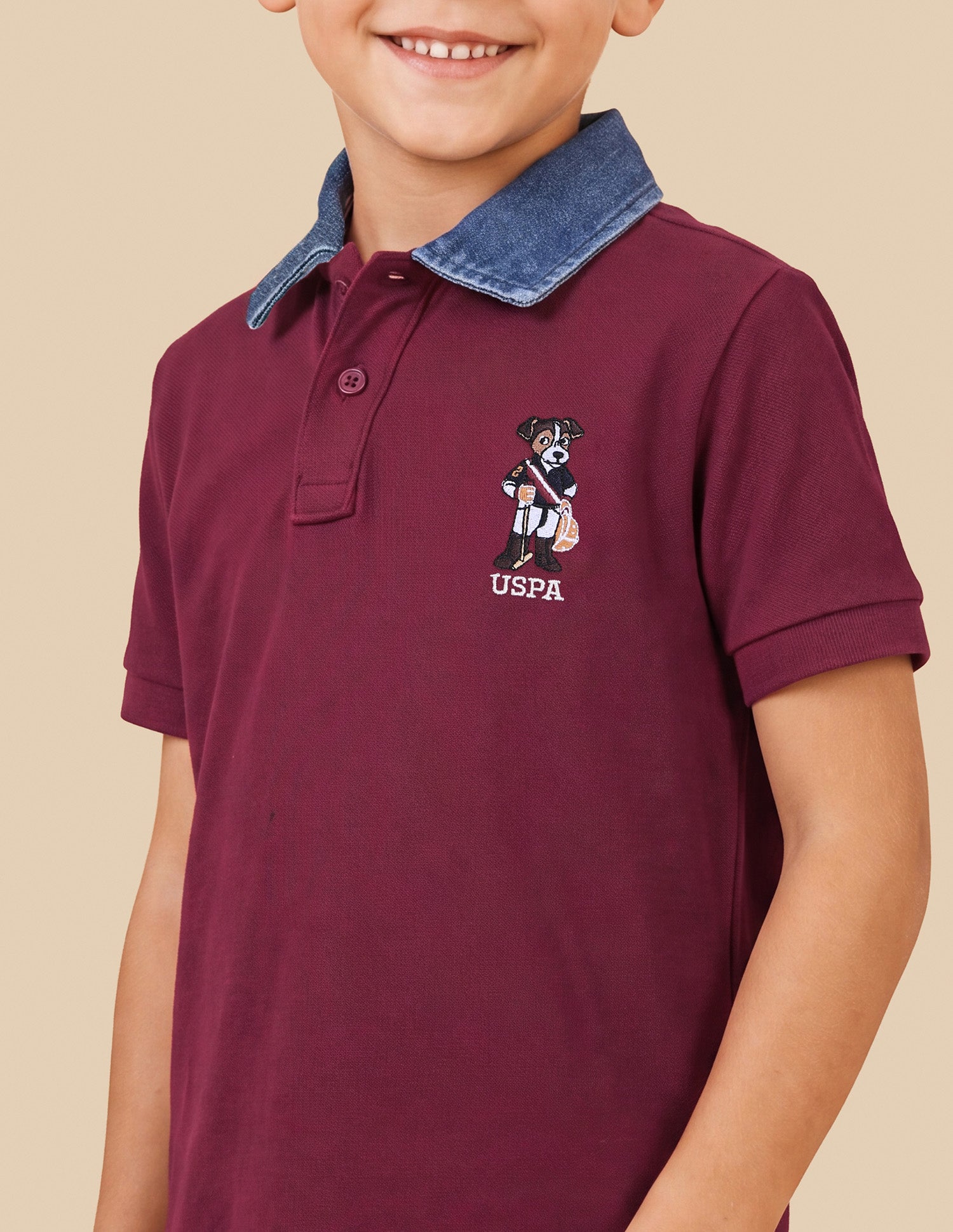 Solid Regular Fit Polo Shirt Maroon - U.S. Polo Assn. India | Large