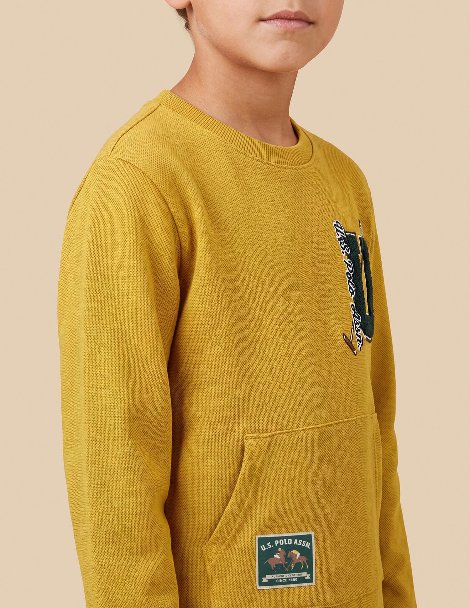 Brand Applique Regular Fit Sweatshirt Yellow - U.S. Polo Assn. India | Large