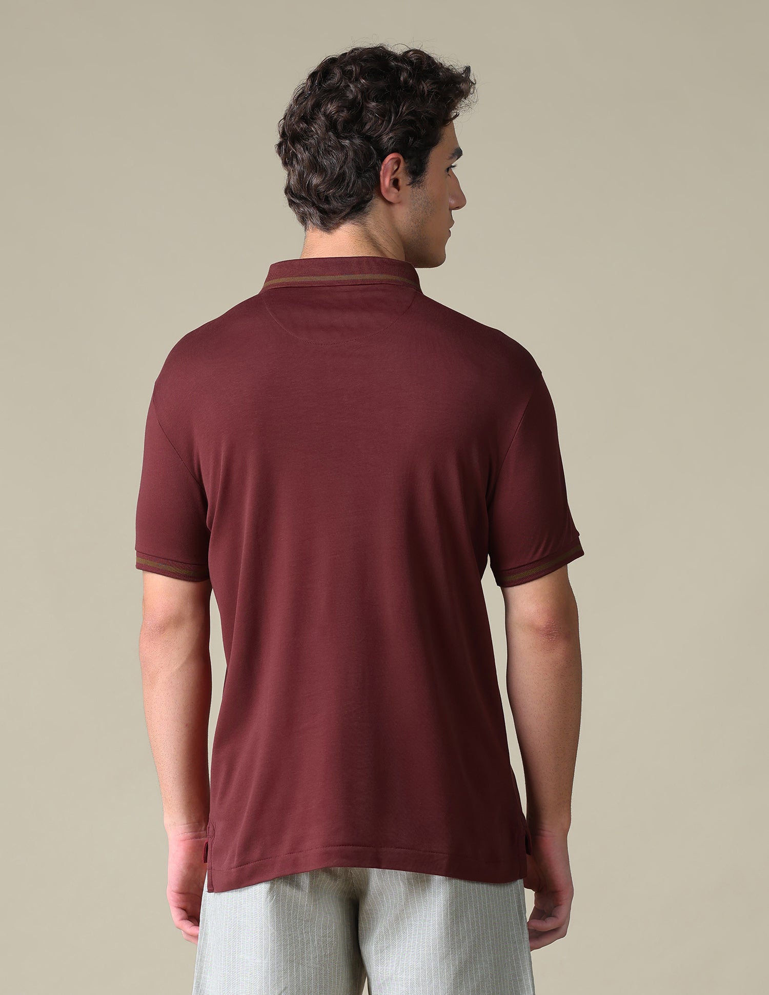 Regular Fit Solid Polo Shirt Wine - U.S. Polo Assn. India | Large