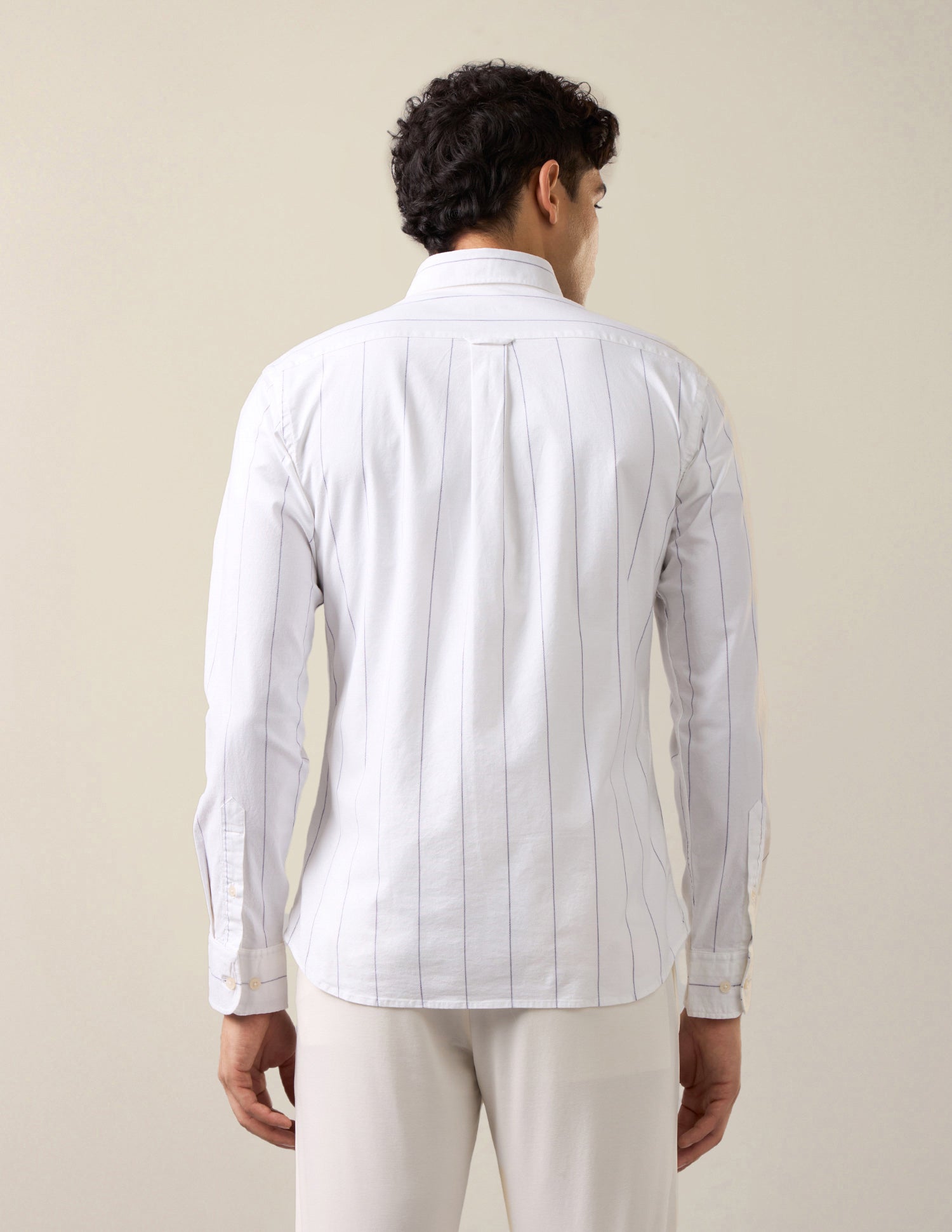 Vertical Striped Oxford Shirt Purple - U.S. Polo Assn. India | Large