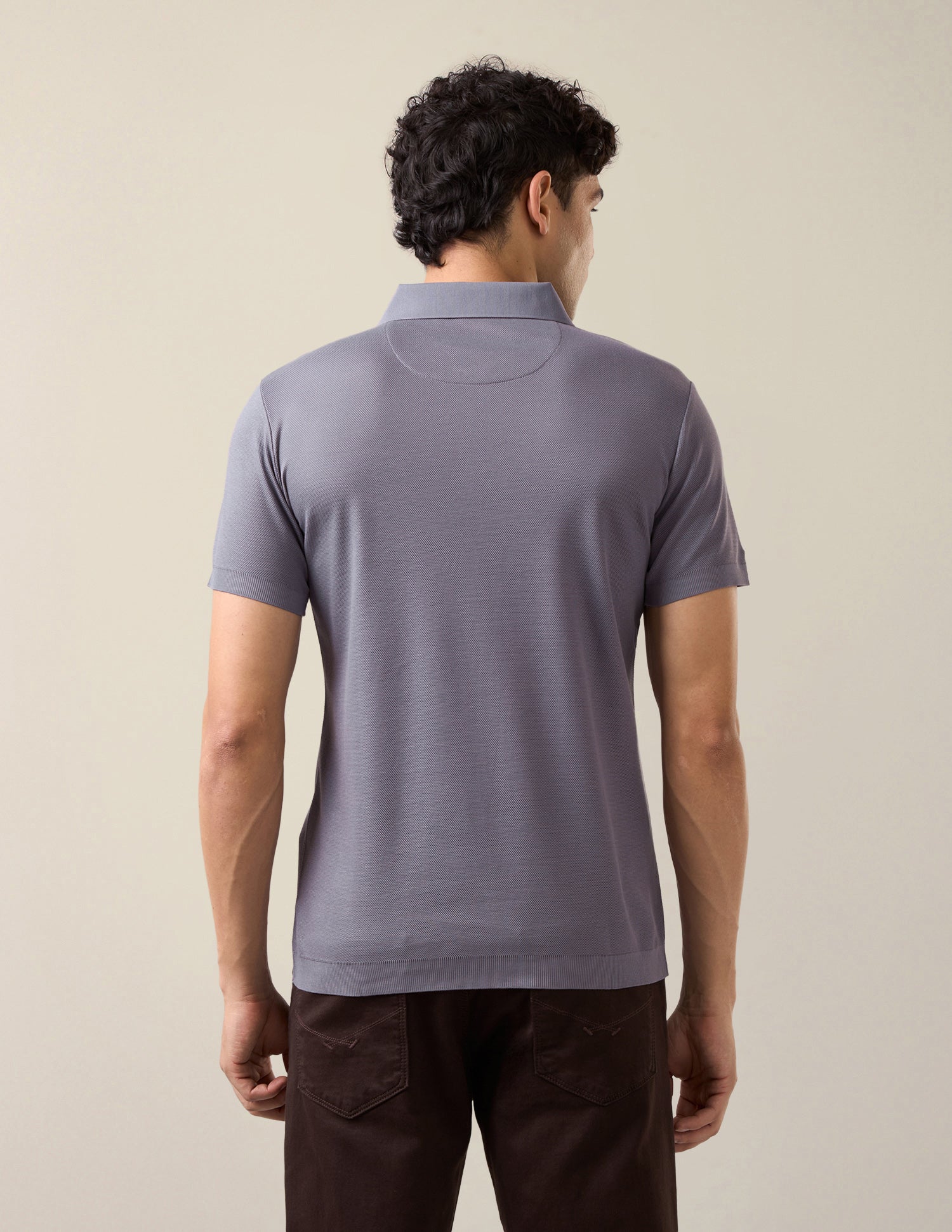 Solid Slim Fit Polo Shirt Purple - U.S. Polo Assn. India | Large