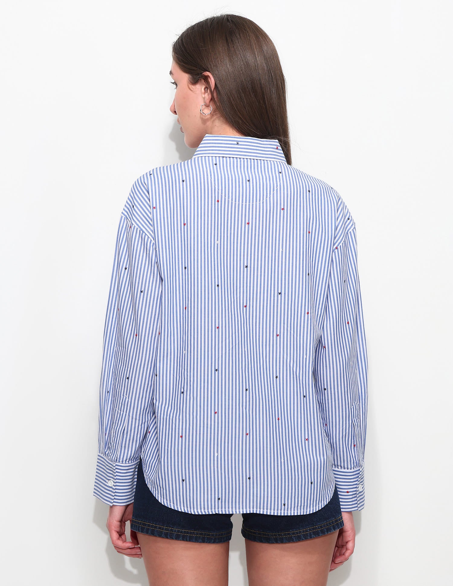 Vertical Striped Shirt With Embroidery Blue - U.S. Polo Assn. India | Large