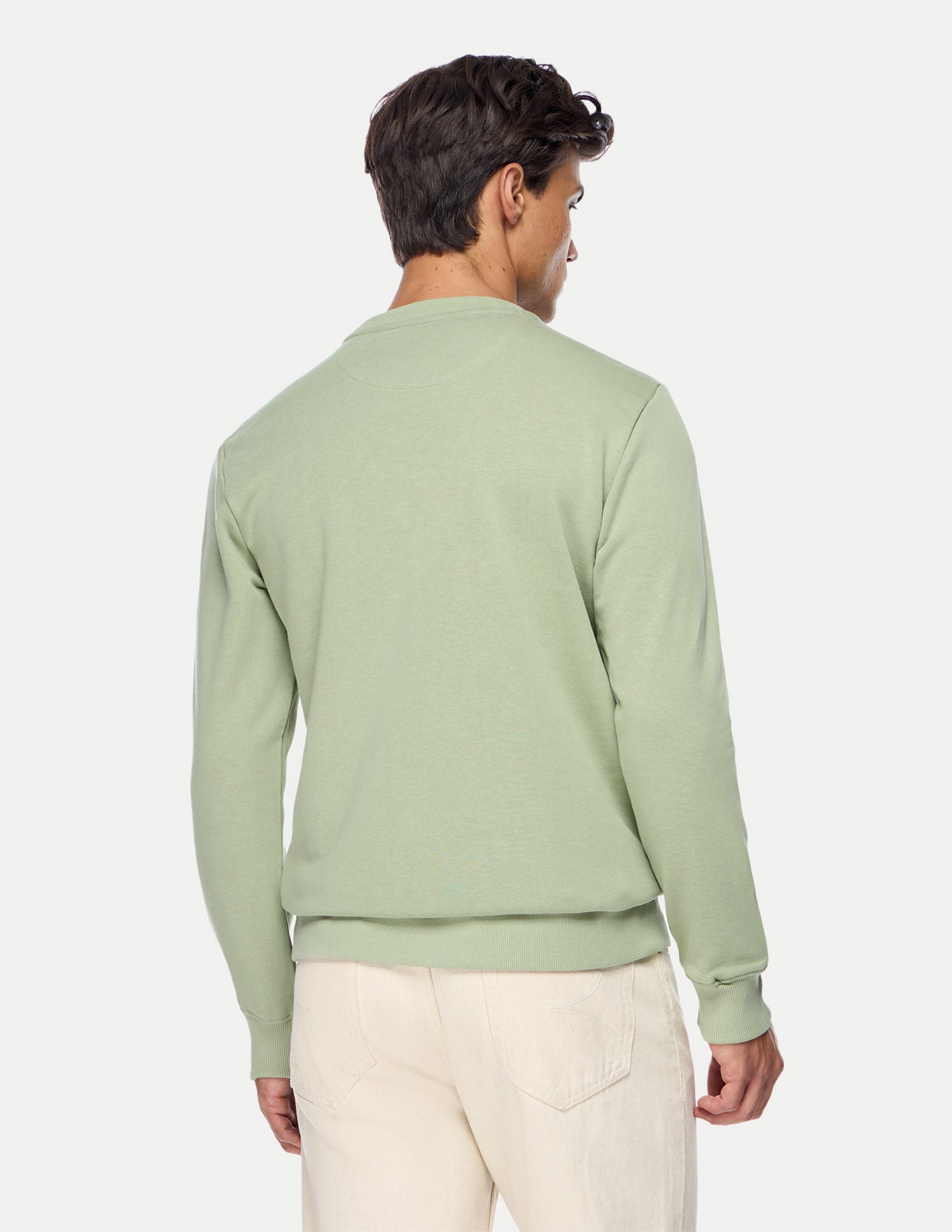 Graphic Brand Printed Regular Fit Sweatshirt Light Green - U.S. Polo Assn. India | Large