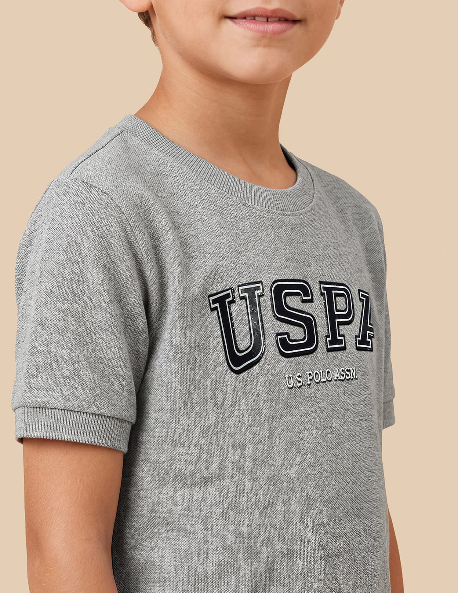 Brand Printed Regular Fit T-Shirt Grey - U.S. Polo Assn. India | Large