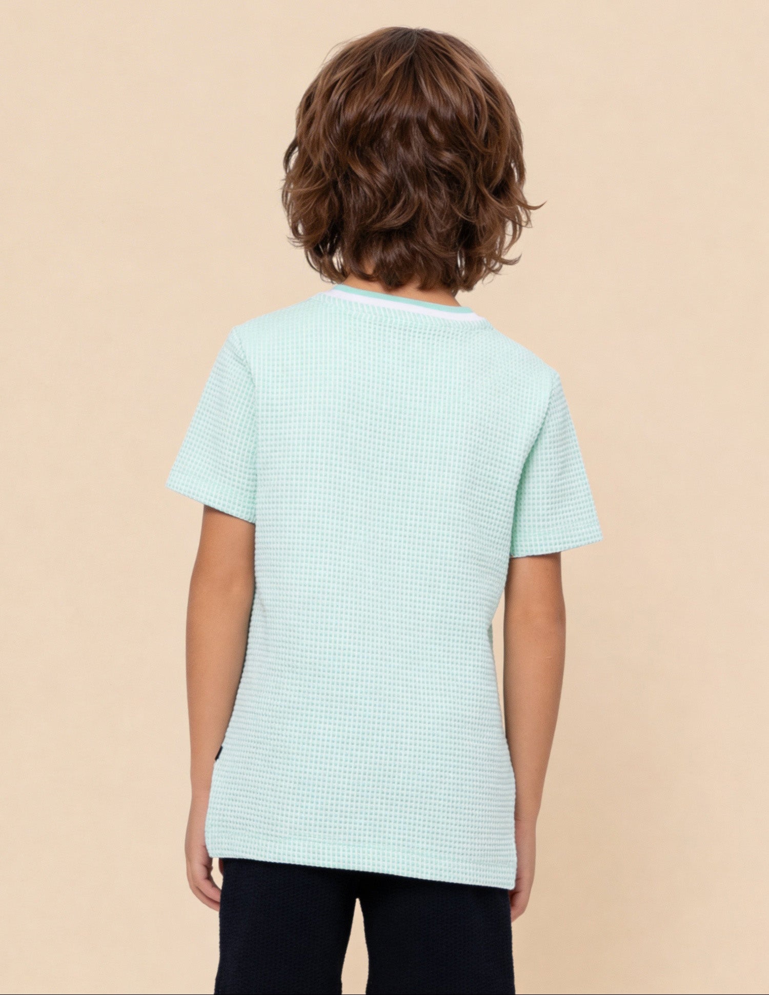 Textured Regular Fit T-Shirt Light Green - U.S. Polo Assn. India | Large
