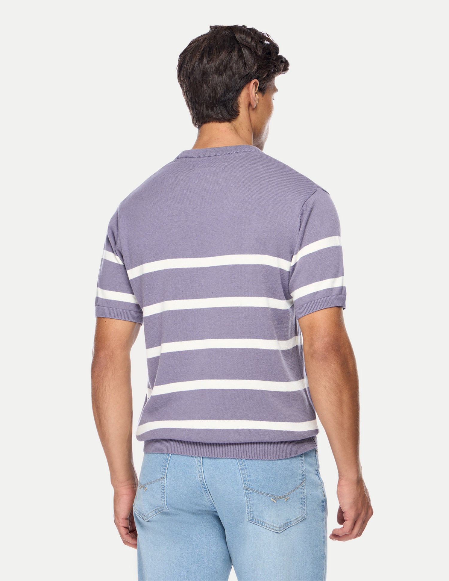 Horizontal Striped Regular Fit Sweater Purple - U.S. Polo Assn. India | Large