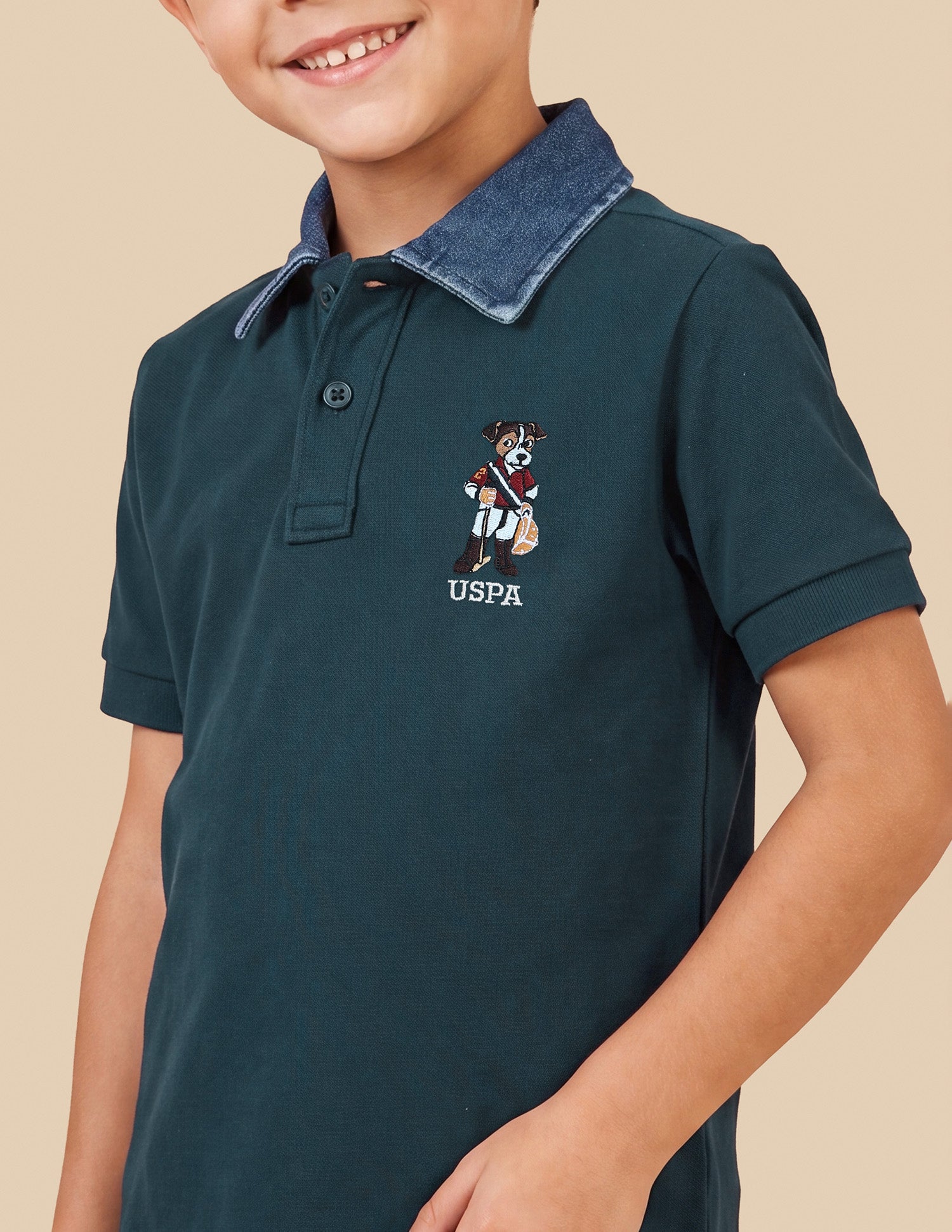 Solid Regular Fit Polo Shirt Teal - U.S. Polo Assn. India | Large