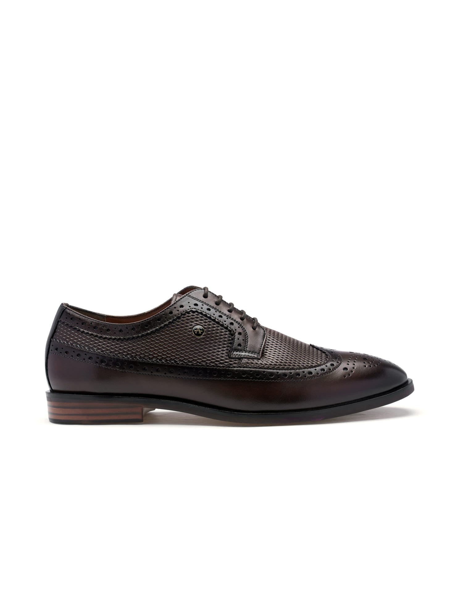 Denise 4.0 Leather Brogues Brown - U.S. Polo Assn. India | Large