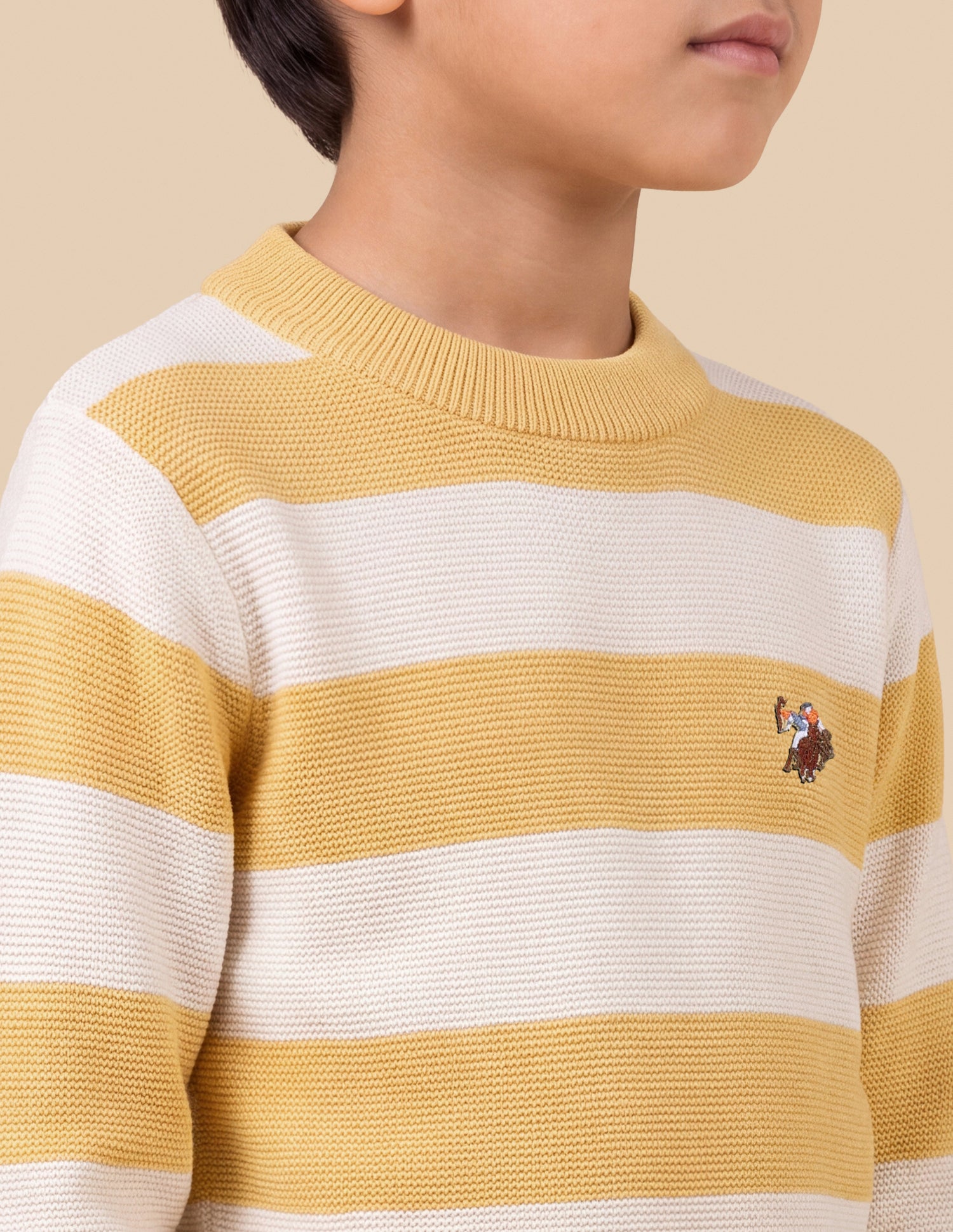Horizontal Striped Regular Fit Sweater Light Yellow - U.S. Polo Assn. India | Large