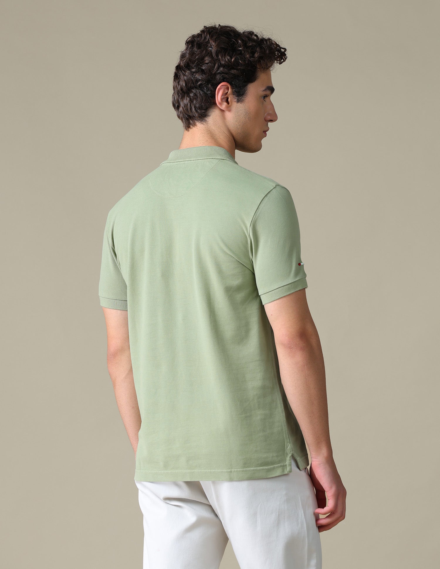Solid Regular Fit Polo Shirt Green - U.S. Polo Assn. India | Large