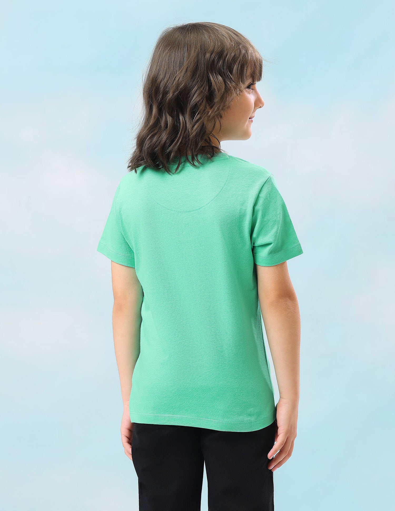 Solid Regular Fit T-Shirt Light Green - U.S. Polo Assn. India | Large