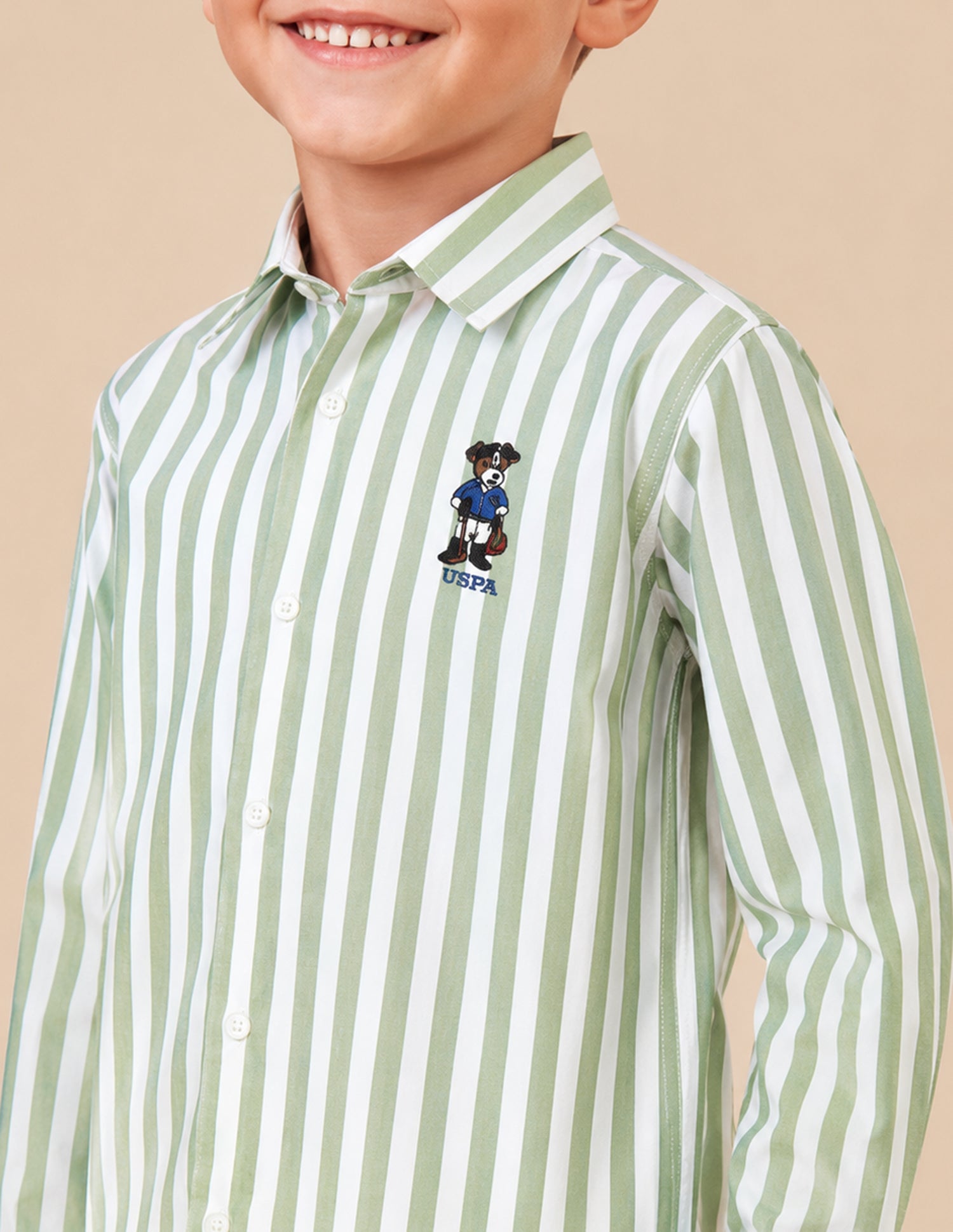Vertical Striped Oxford Shirt Green - U.S. Polo Assn. India | Large