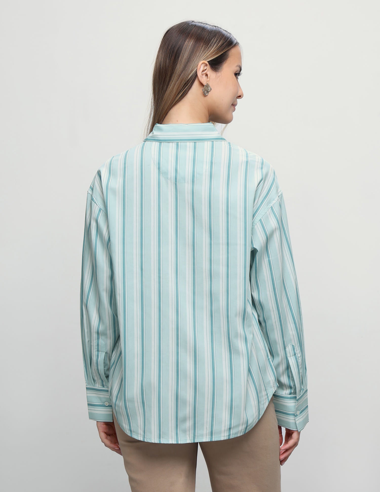 Vertical Striped Boyfriend Fit Shirt Green - U.S. Polo Assn. India | Large