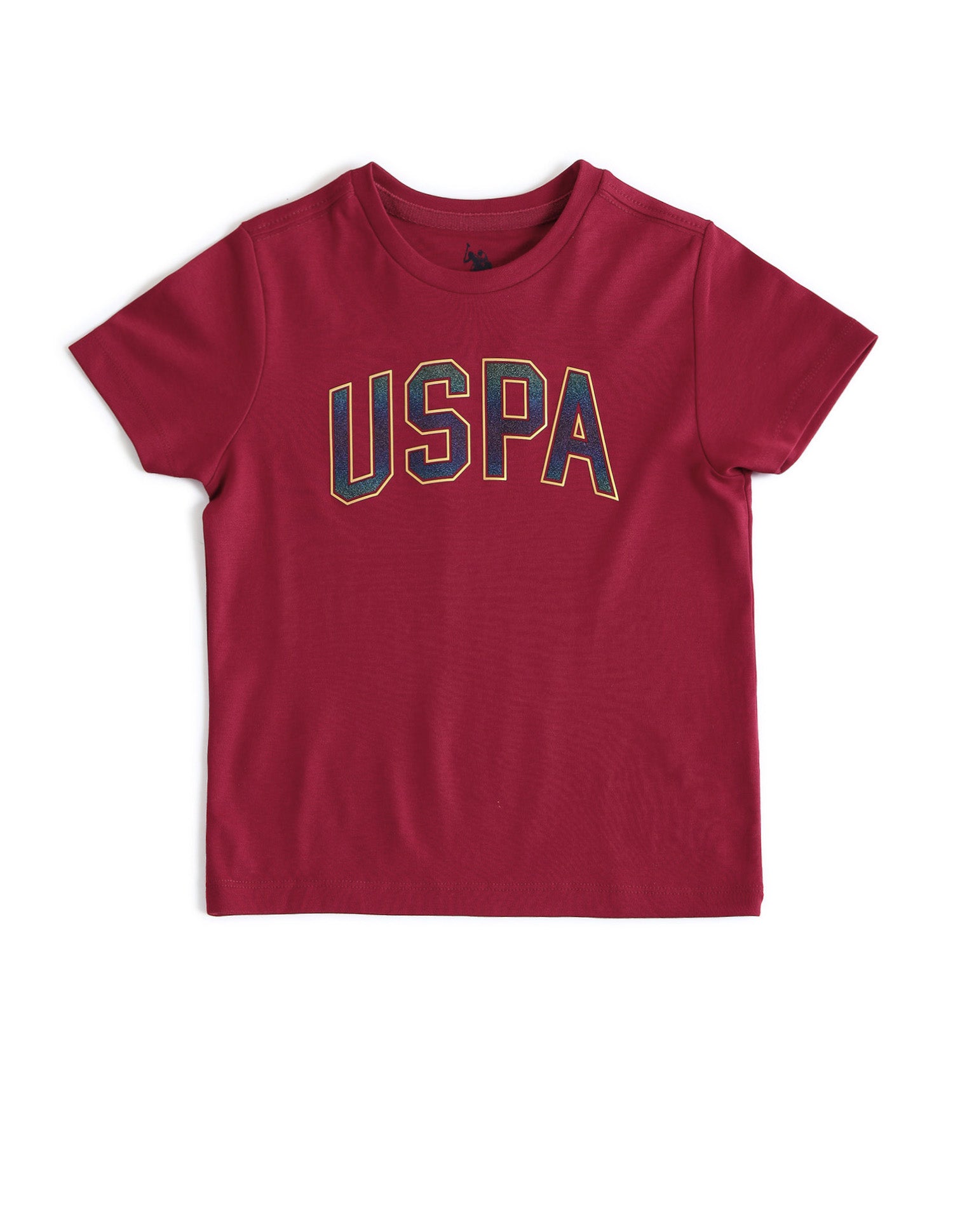 Boys Brand Printed Regular Fit T-Shirt Tawny Port - U.S. Polo Assn. India | Large