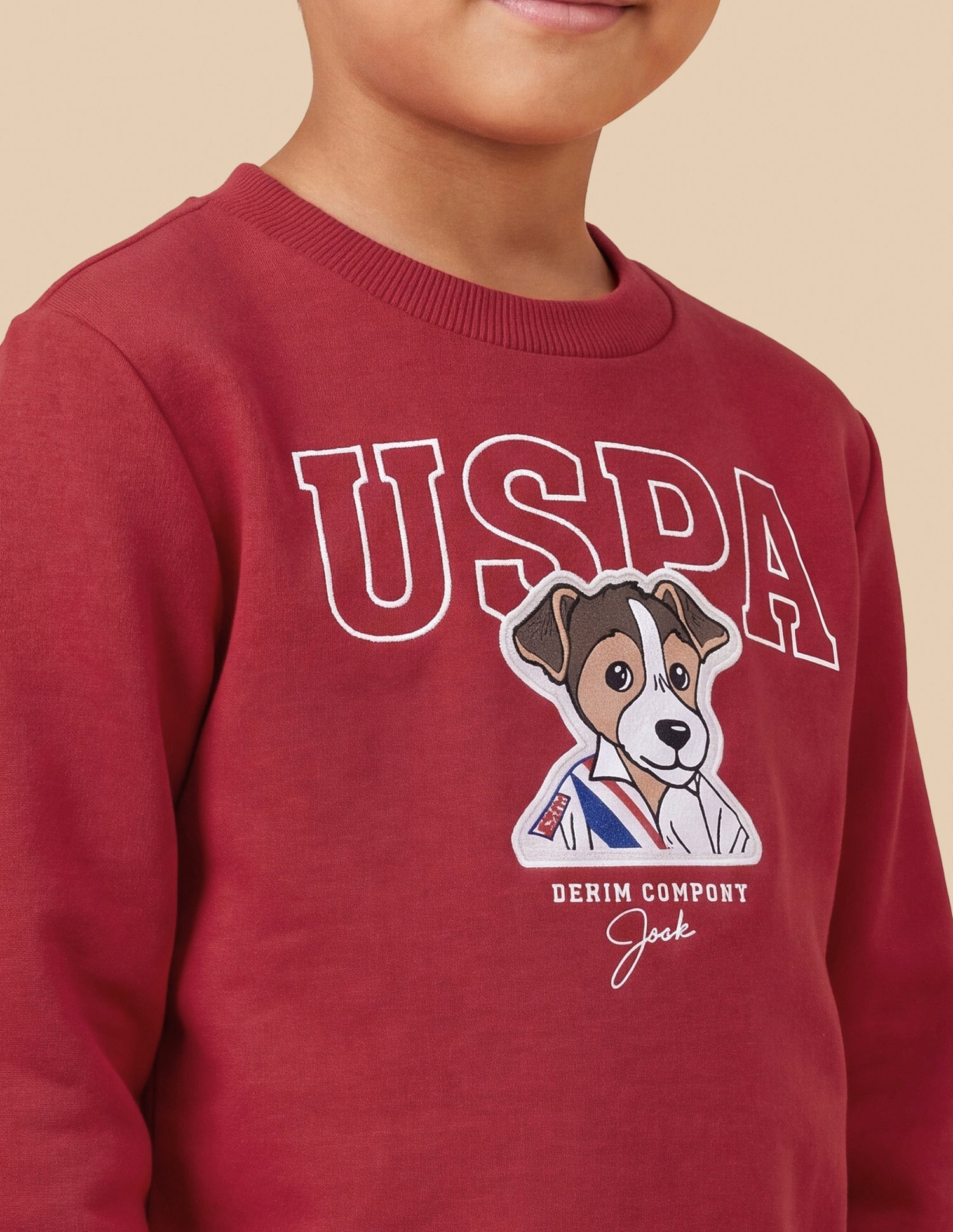 Graphic Brand Embroidered Regular Fit Sweatshirt Red - U.S. Polo Assn. India | Large