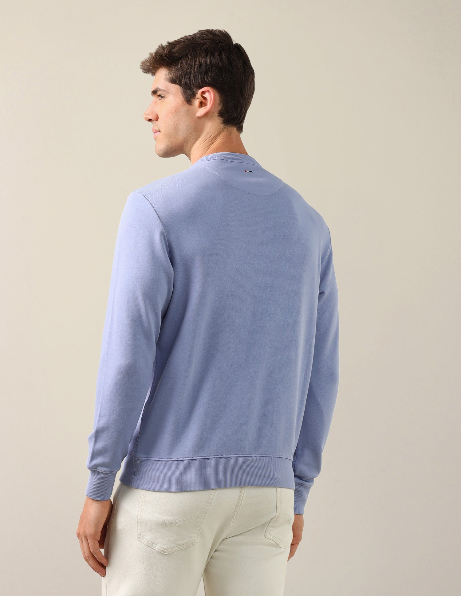 Solid Regular Fit Sweatshirt Purple - U.S. Polo Assn. India | Large