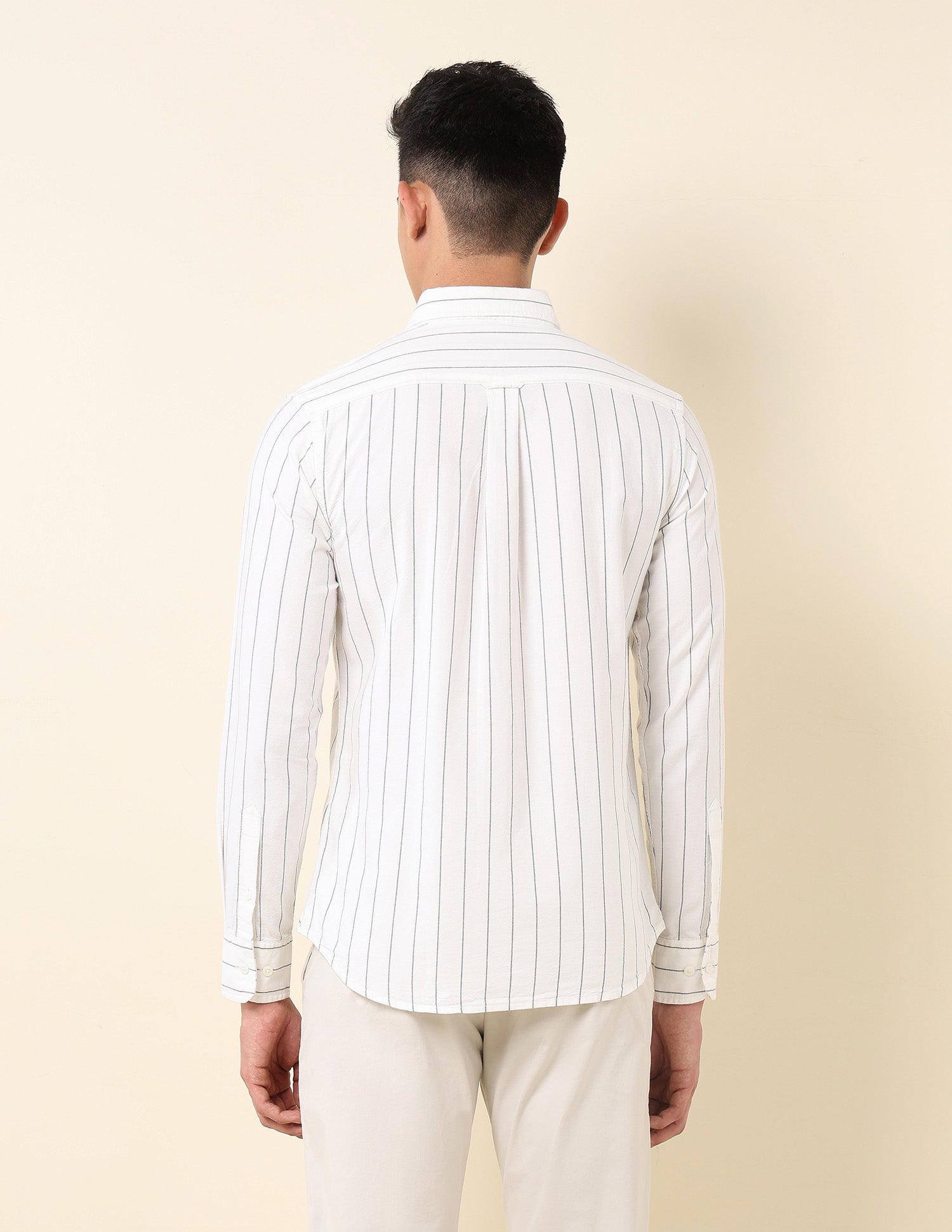 Vertical Striped Oxford Button Down Shirt White - U.S. Polo Assn. India | Large