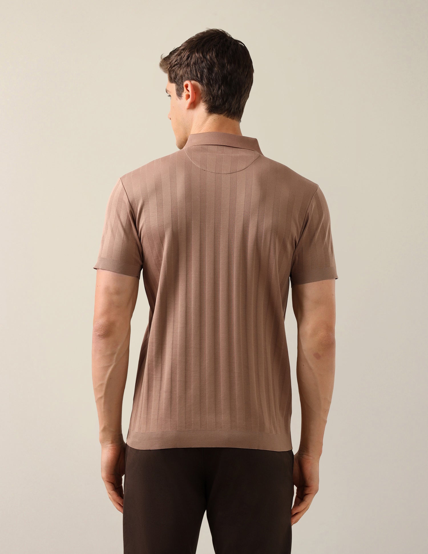Self Design Vertical Striped Slim Fit Polo Shirt Light Brown - U.S. Polo Assn. India | Large