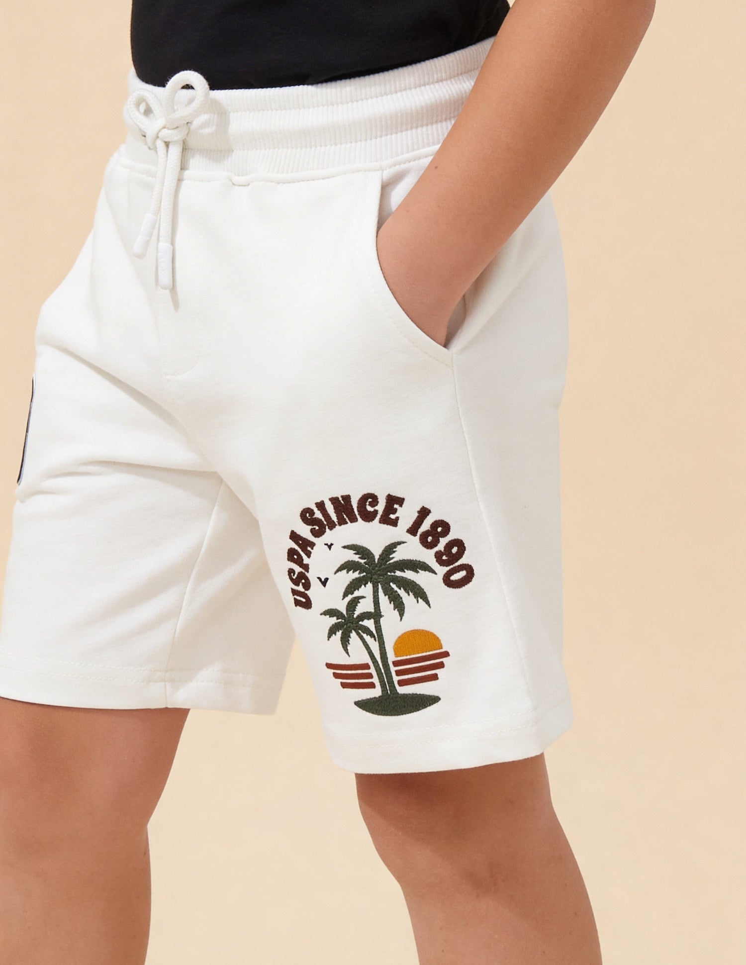 Graphic Brand Embroidered Shorts Off White - U.S. Polo Assn. India | Large