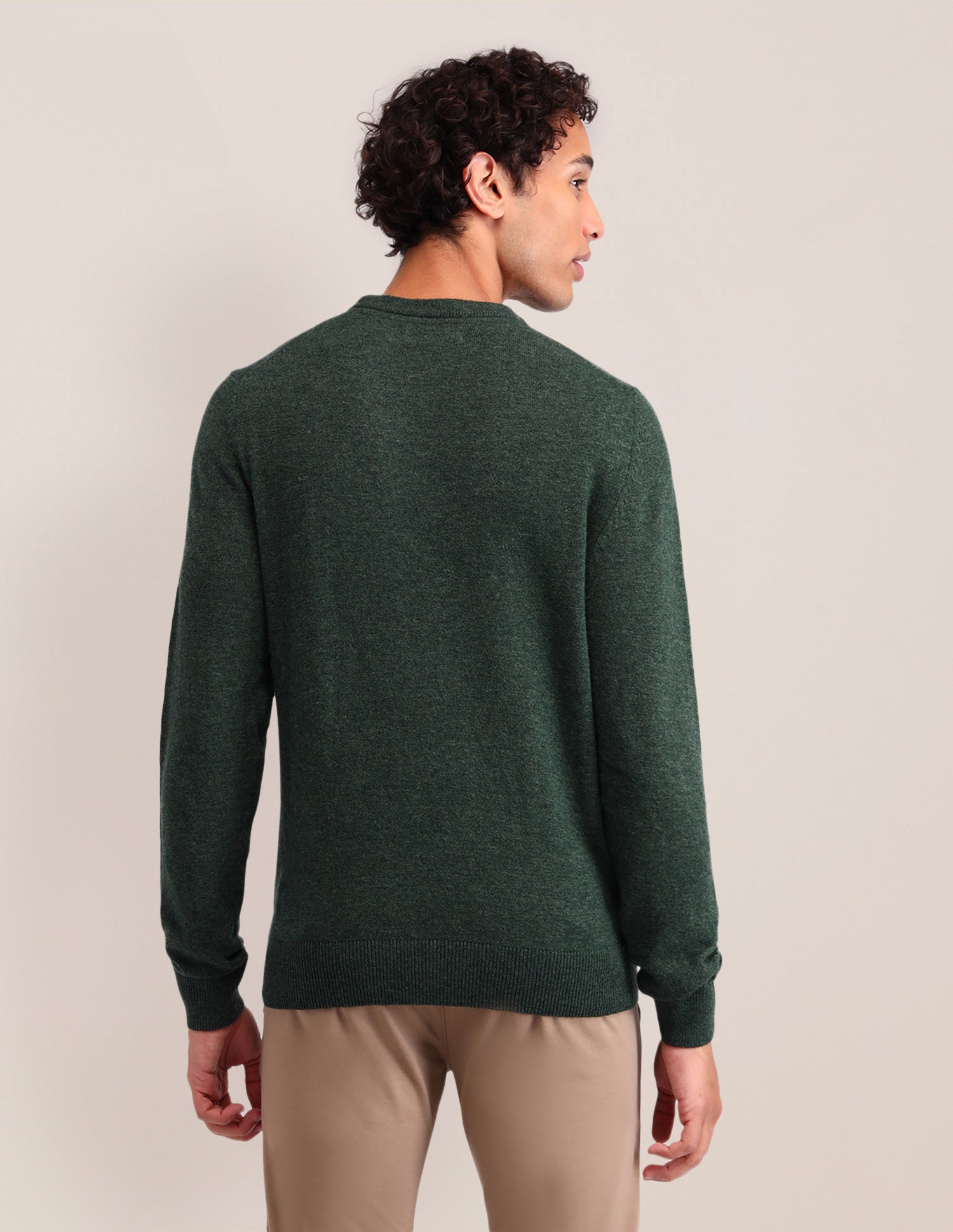 Textured Regular Fit Sweater Olive - U.S. Polo Assn. India | Large