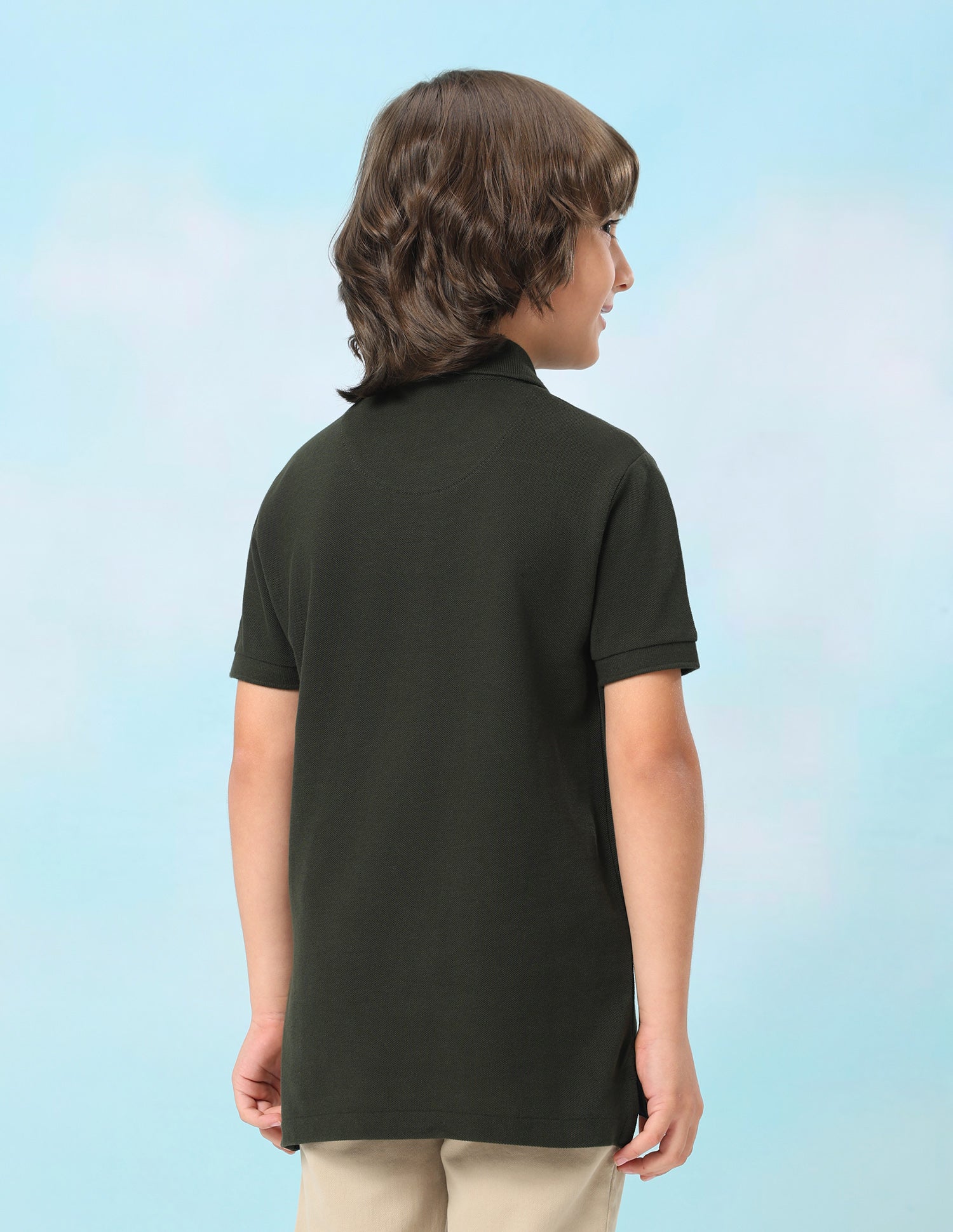 Solid Regular Fit Polo Shirt Olive - U.S. Polo Assn. India | Large