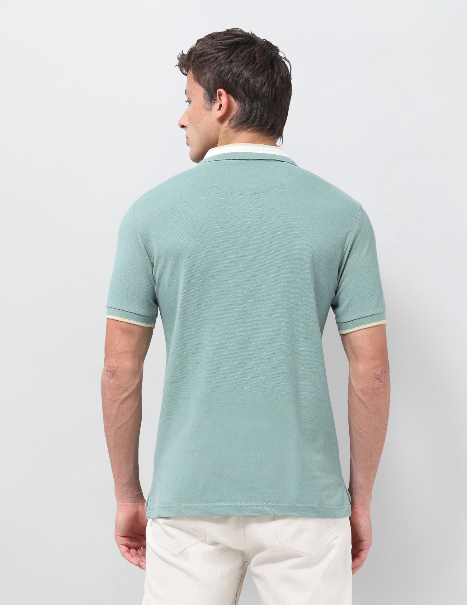 Solid Regular Fit Polo Shirt Light Green - U.S. Polo Assn. India | Large