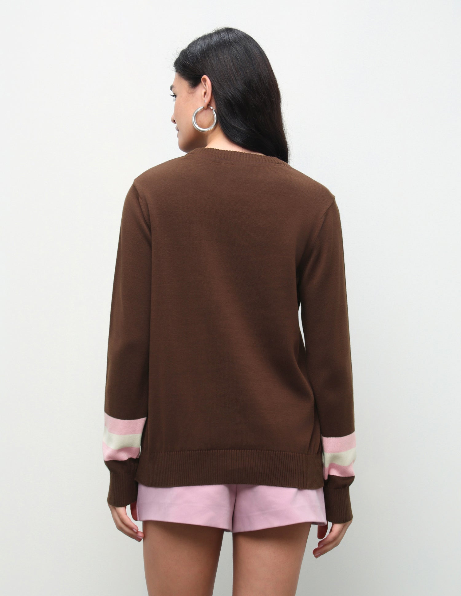 Brand Patterned Knit Regular Fit Sweater Brown - U.S. Polo Assn. India | Large