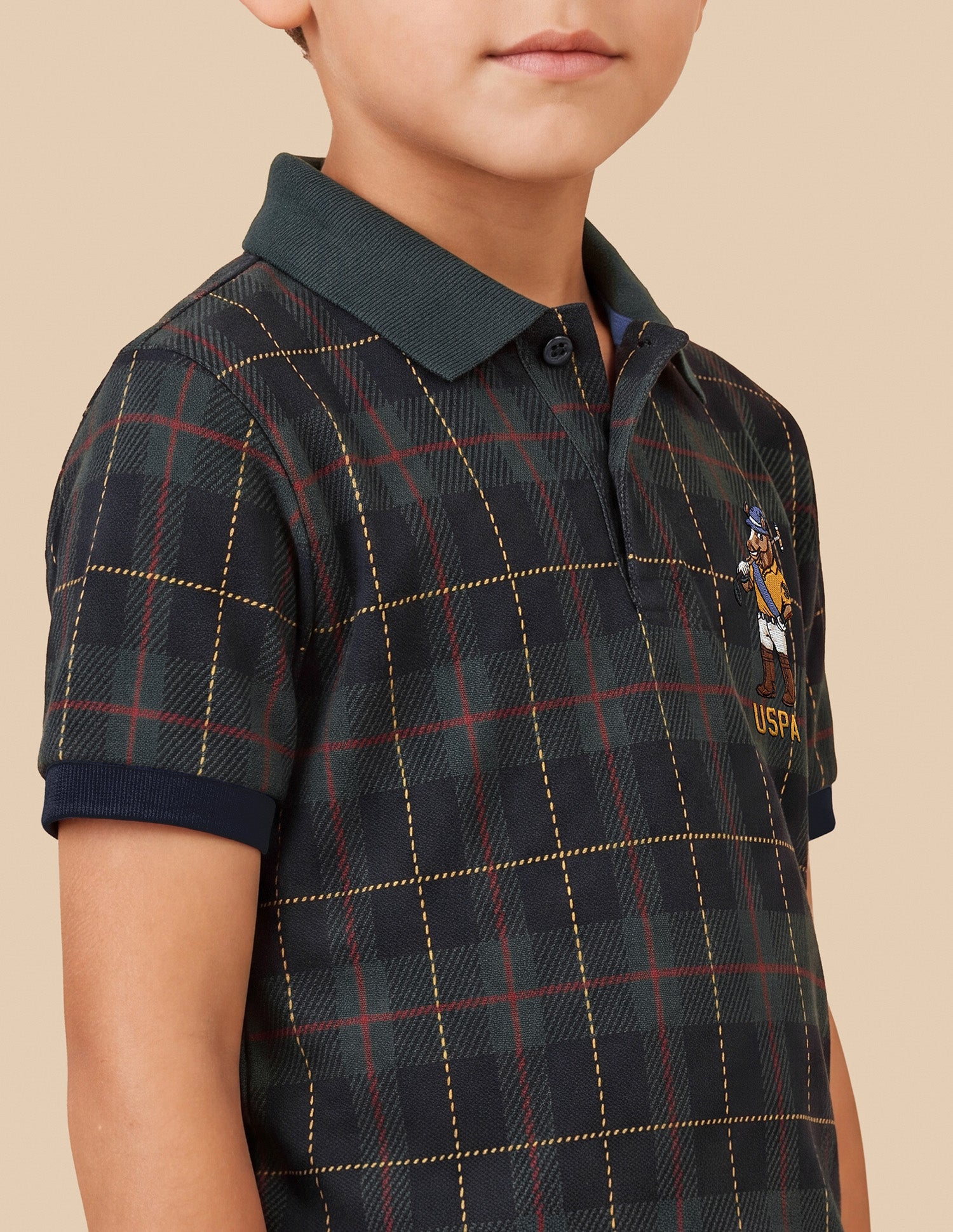 Checked Regular Fit Polo Shirt Green - U.S. Polo Assn. India | Large