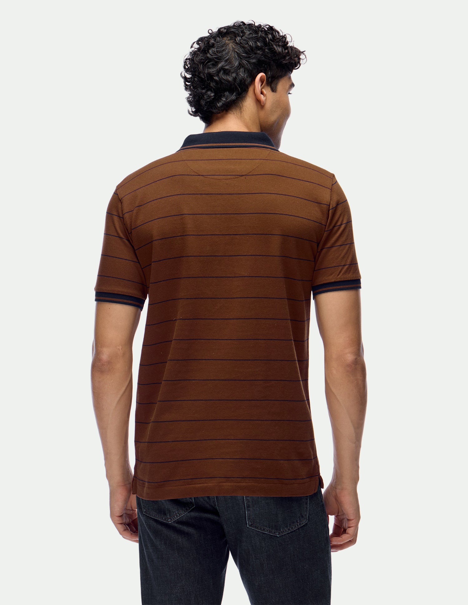 Slim Fit Horizontal Striped Polo Shirt Brown - U.S. Polo Assn. India | Large