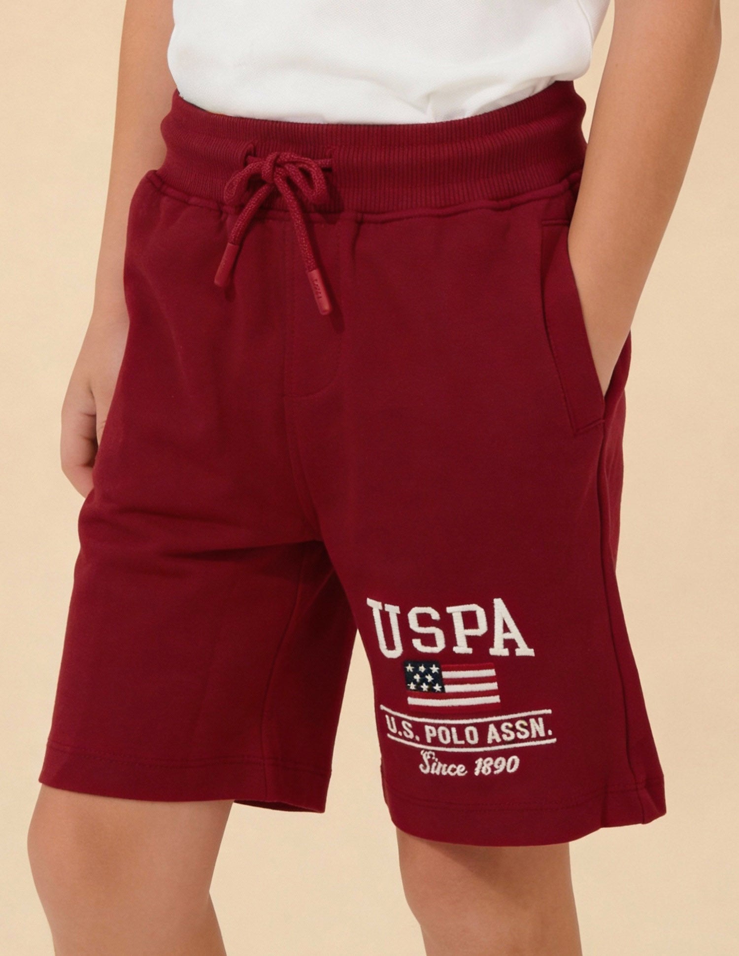 Boys Brand Printed Regular Fit Shorts Red - U.S. Polo Assn. India | Large