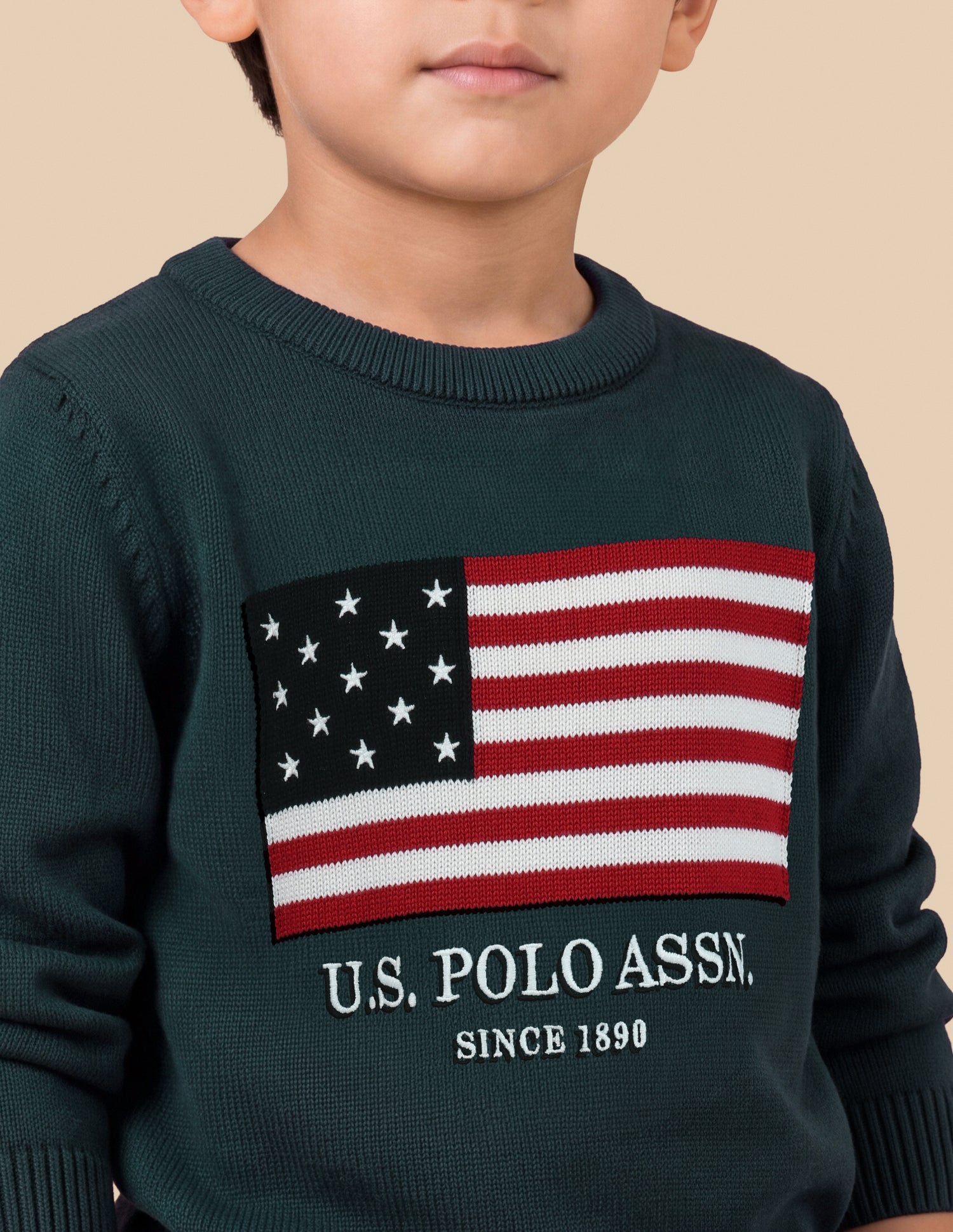 Graphic Brand Patterned Knit Regular Fit Sweater Teal - U.S. Polo Assn. India | Large
