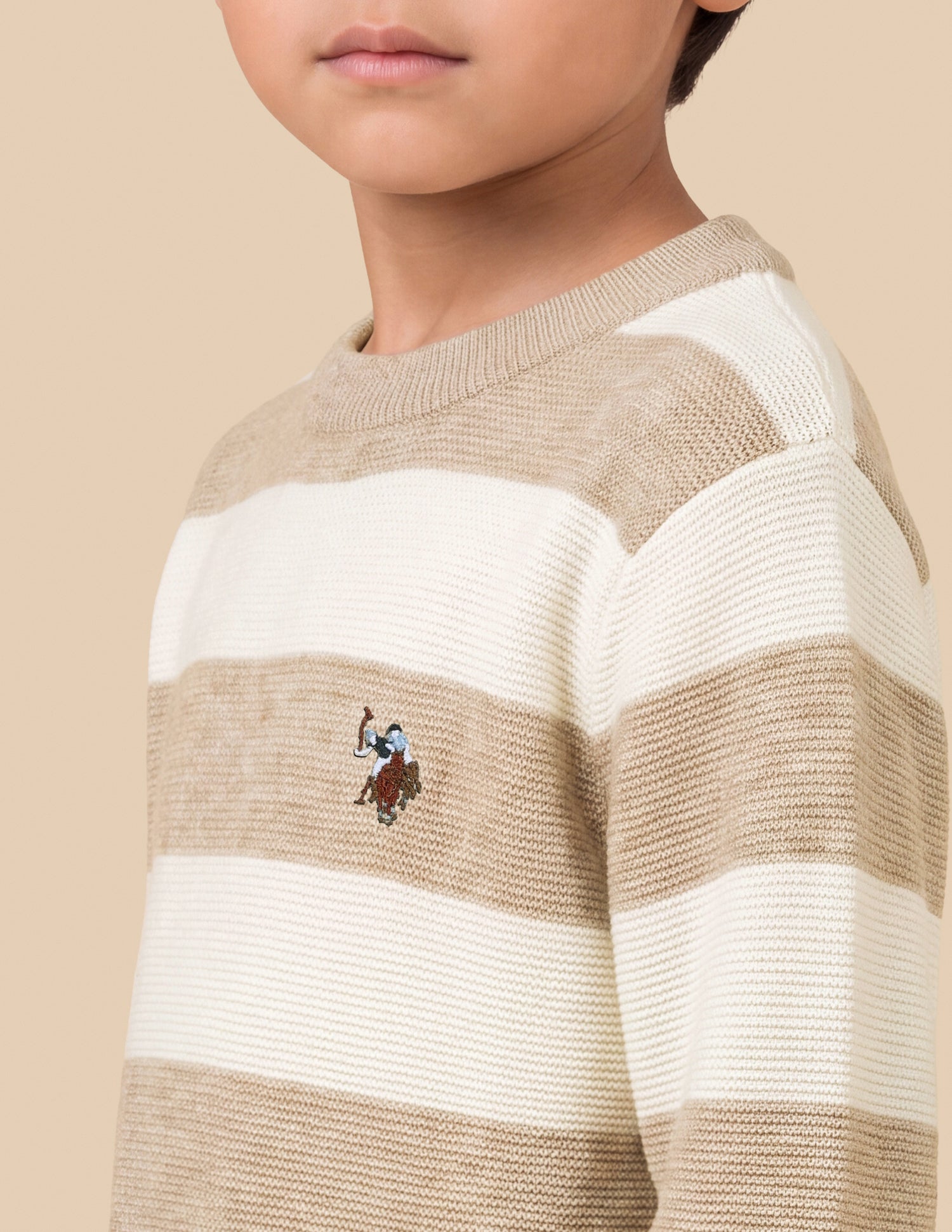 Horizontal Striped Regular Fit Sweater Beige - U.S. Polo Assn. India | Large